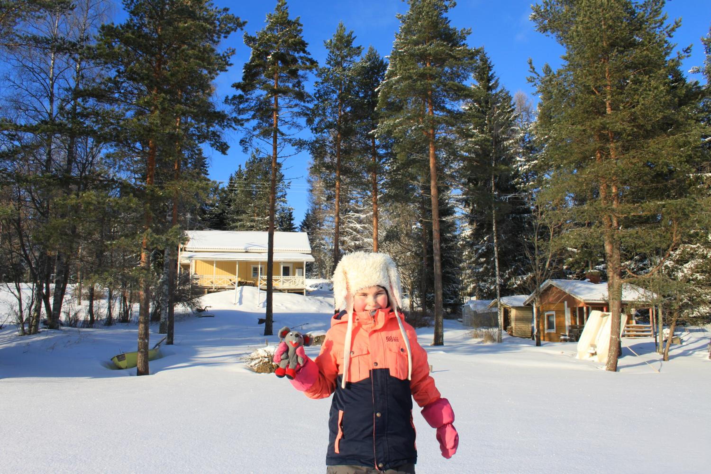 Keitaanniemen lomamökki