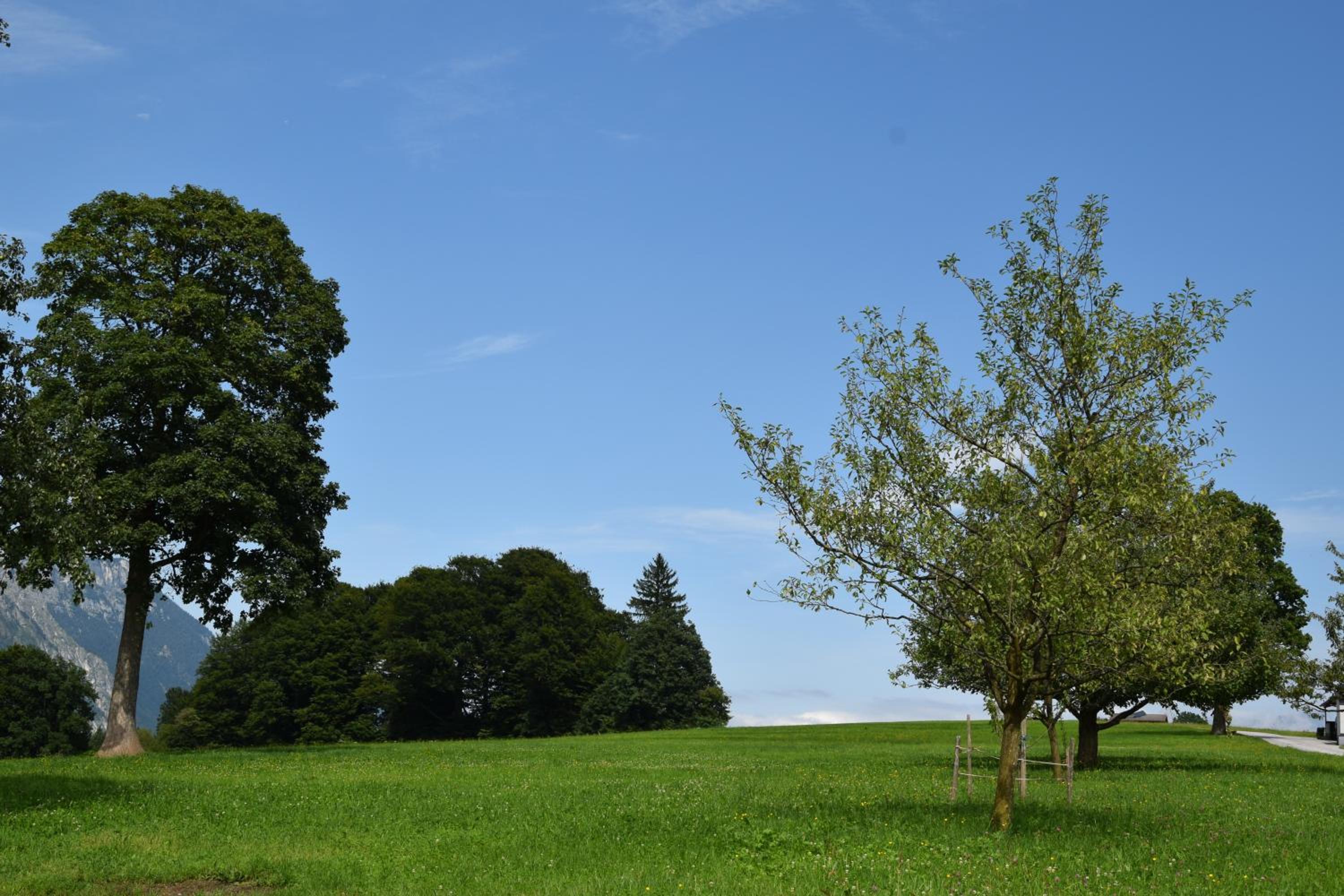 Sieglhof