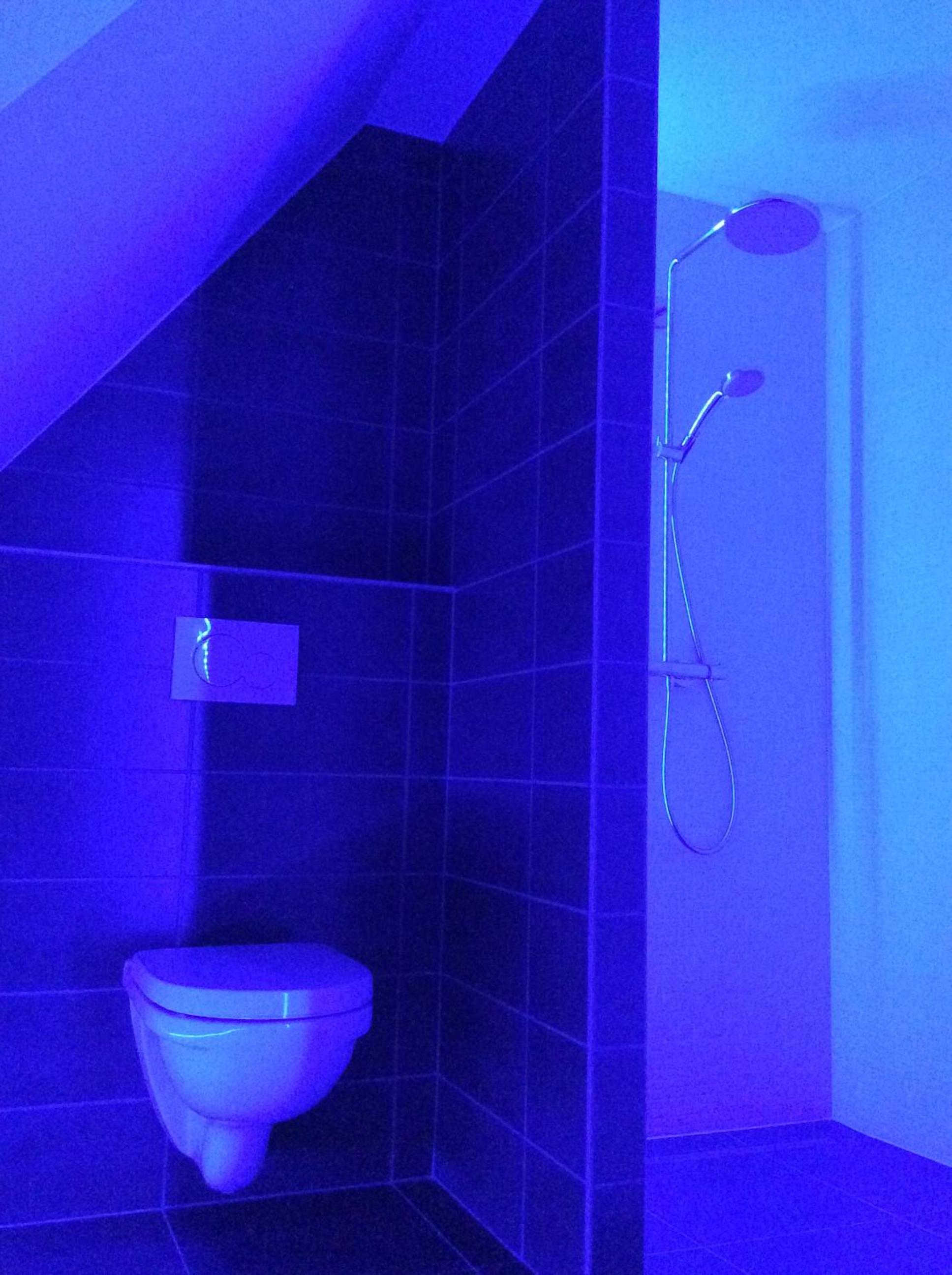 Photo 38