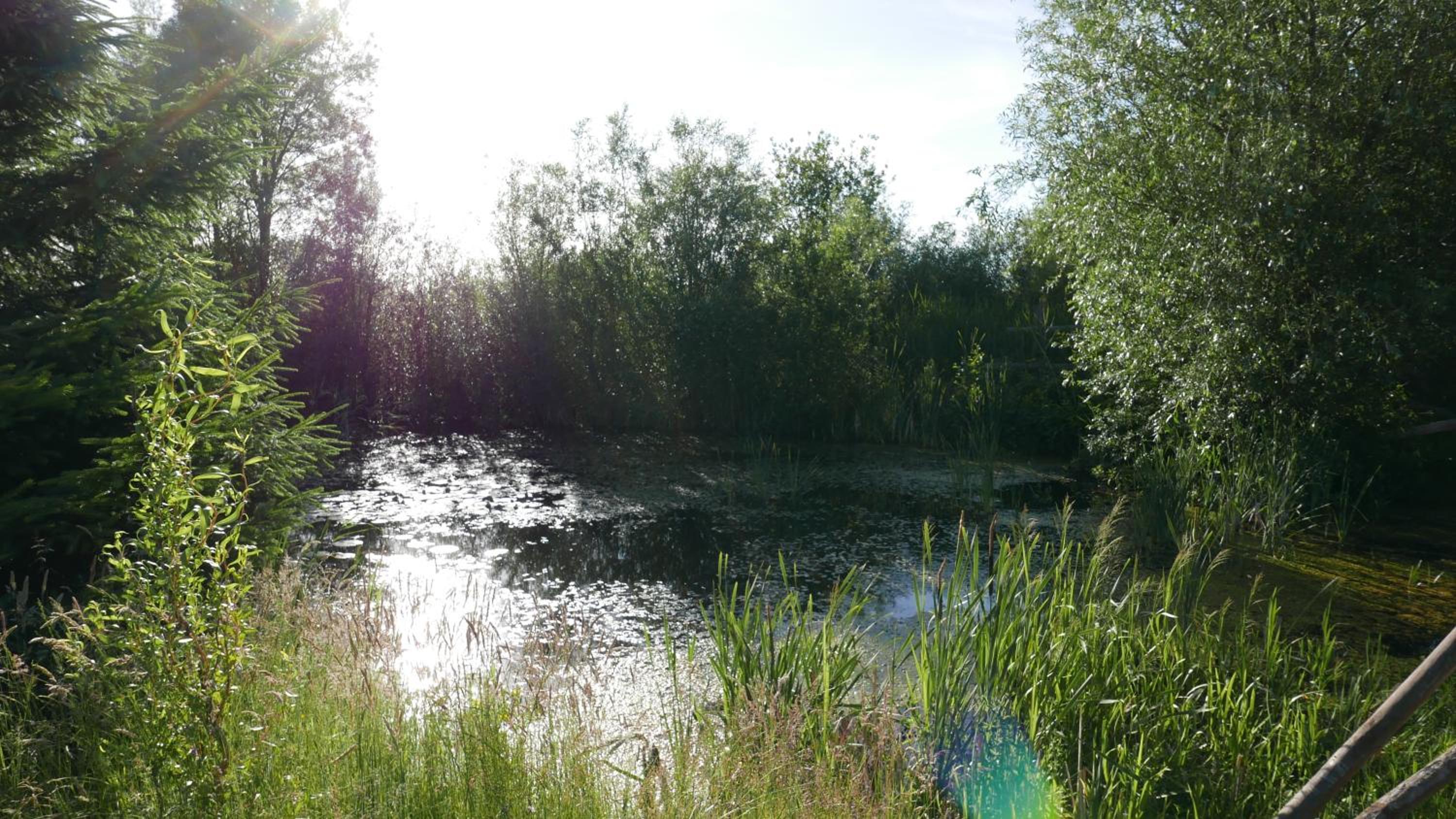 Nadmorskie Zacisze view 3