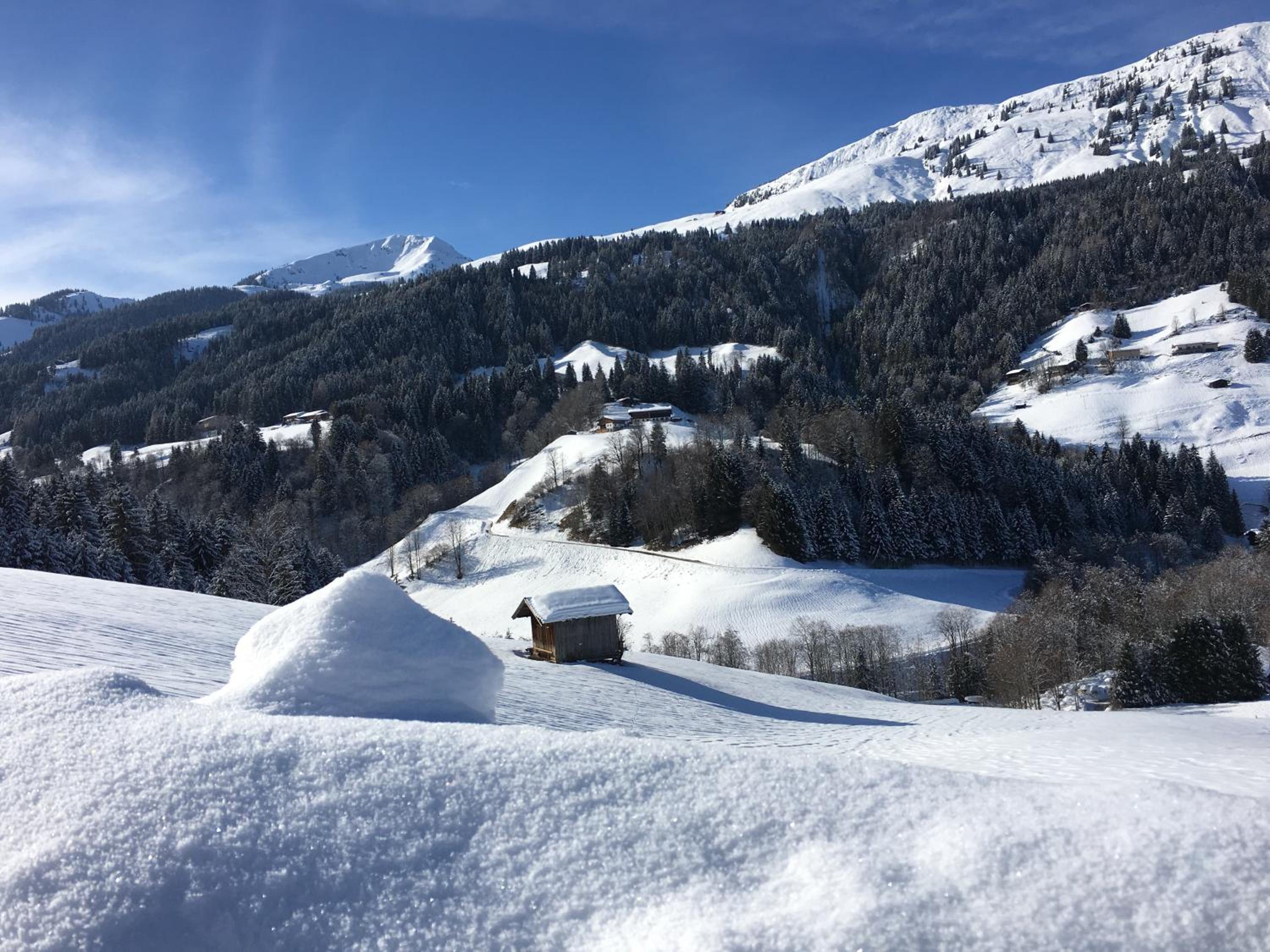 Beim Rohrer