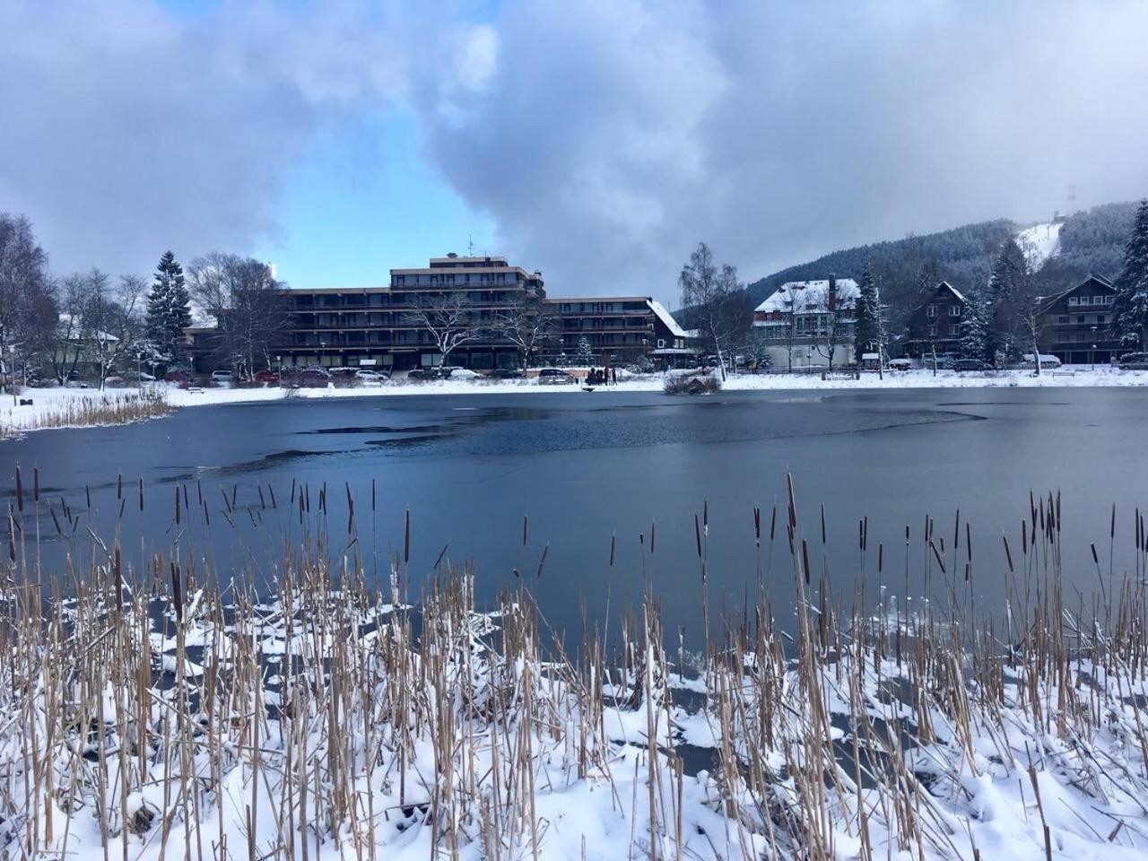 Seesicht Appartements am Kranichsee