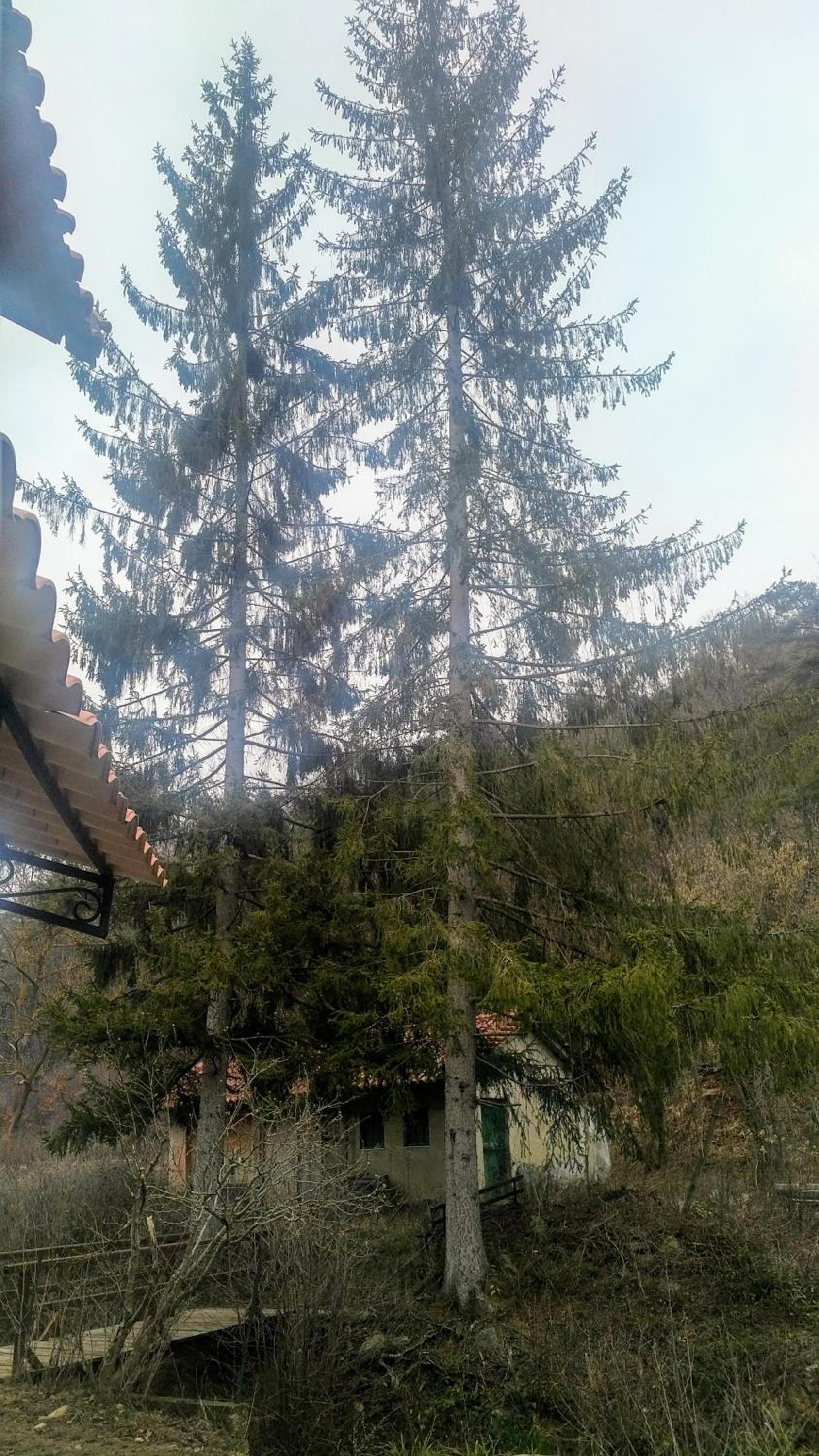 Photo 47
