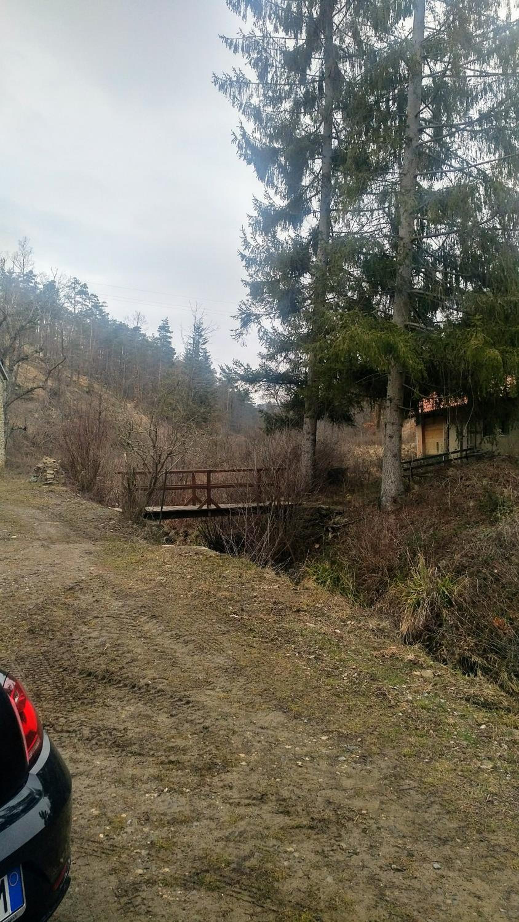 Photo 44