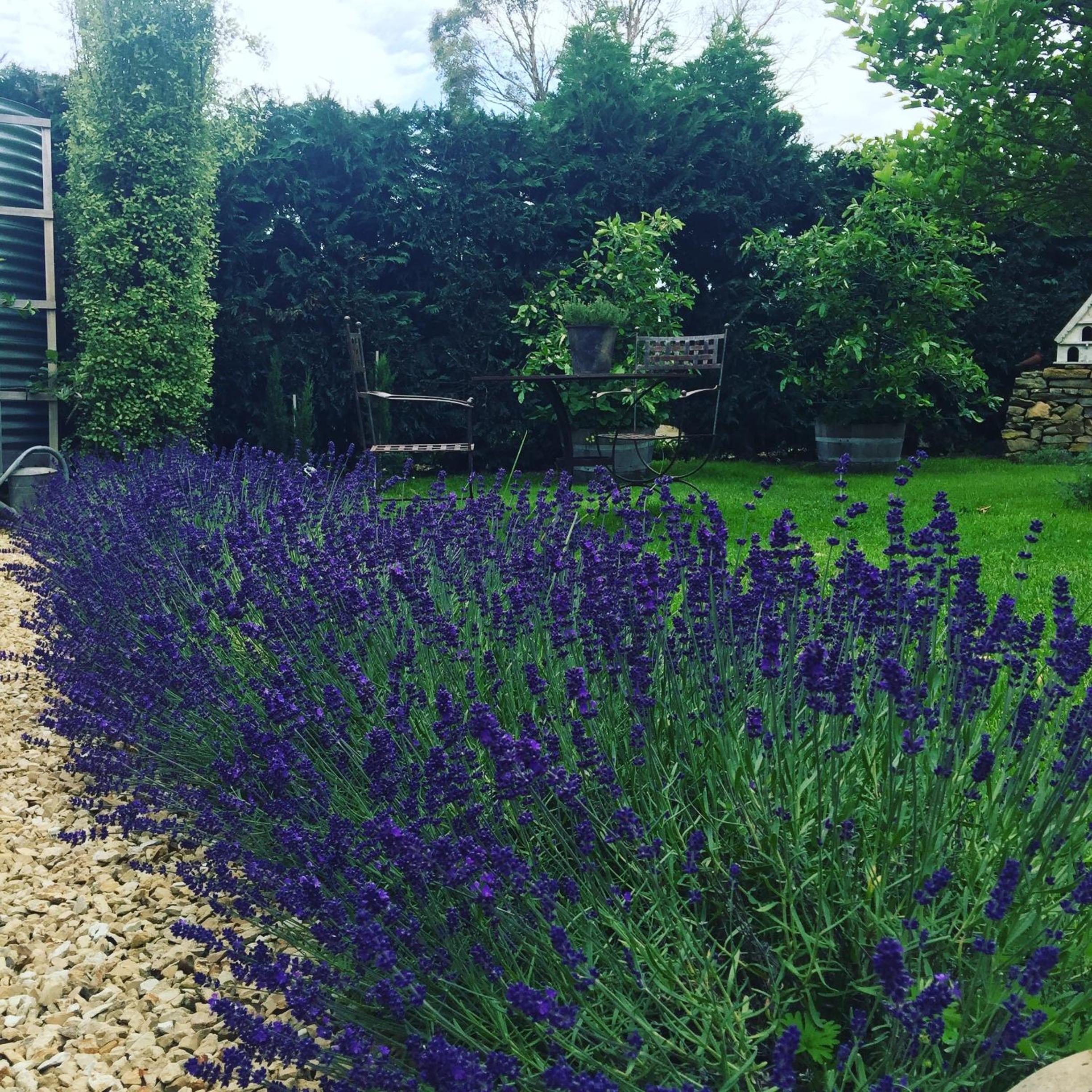 Elm Cottage Barn