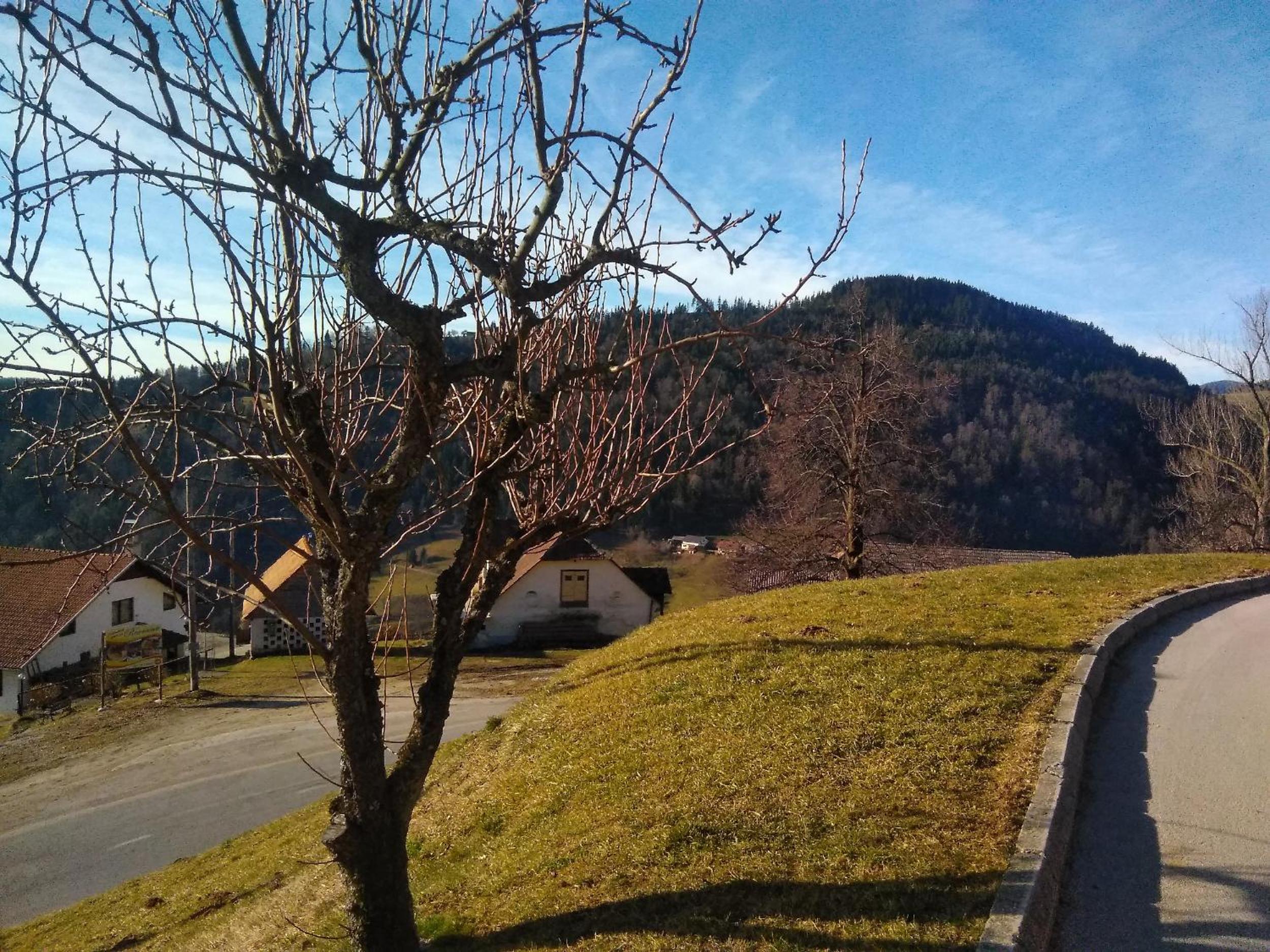 Photo 38