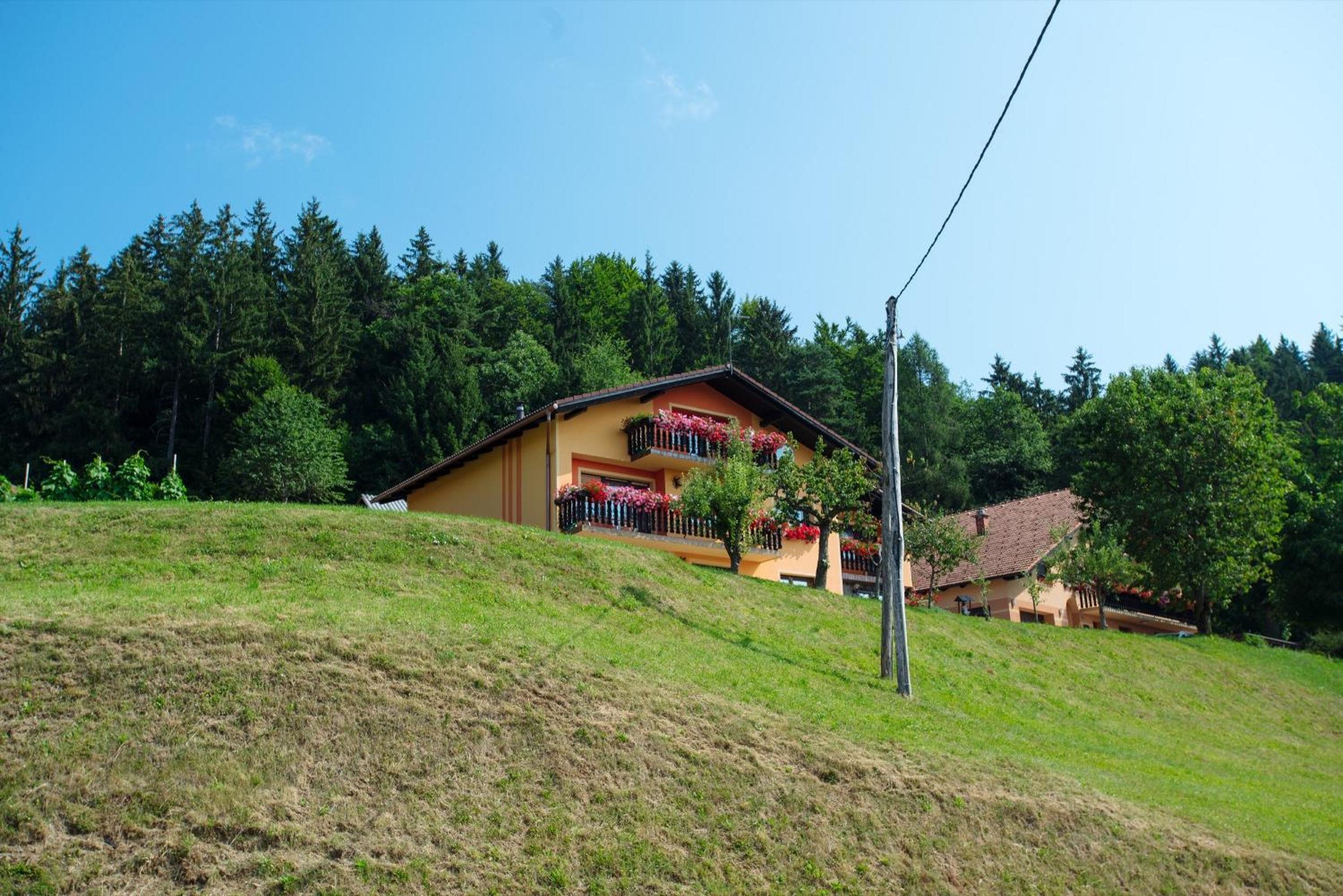 Photo 45