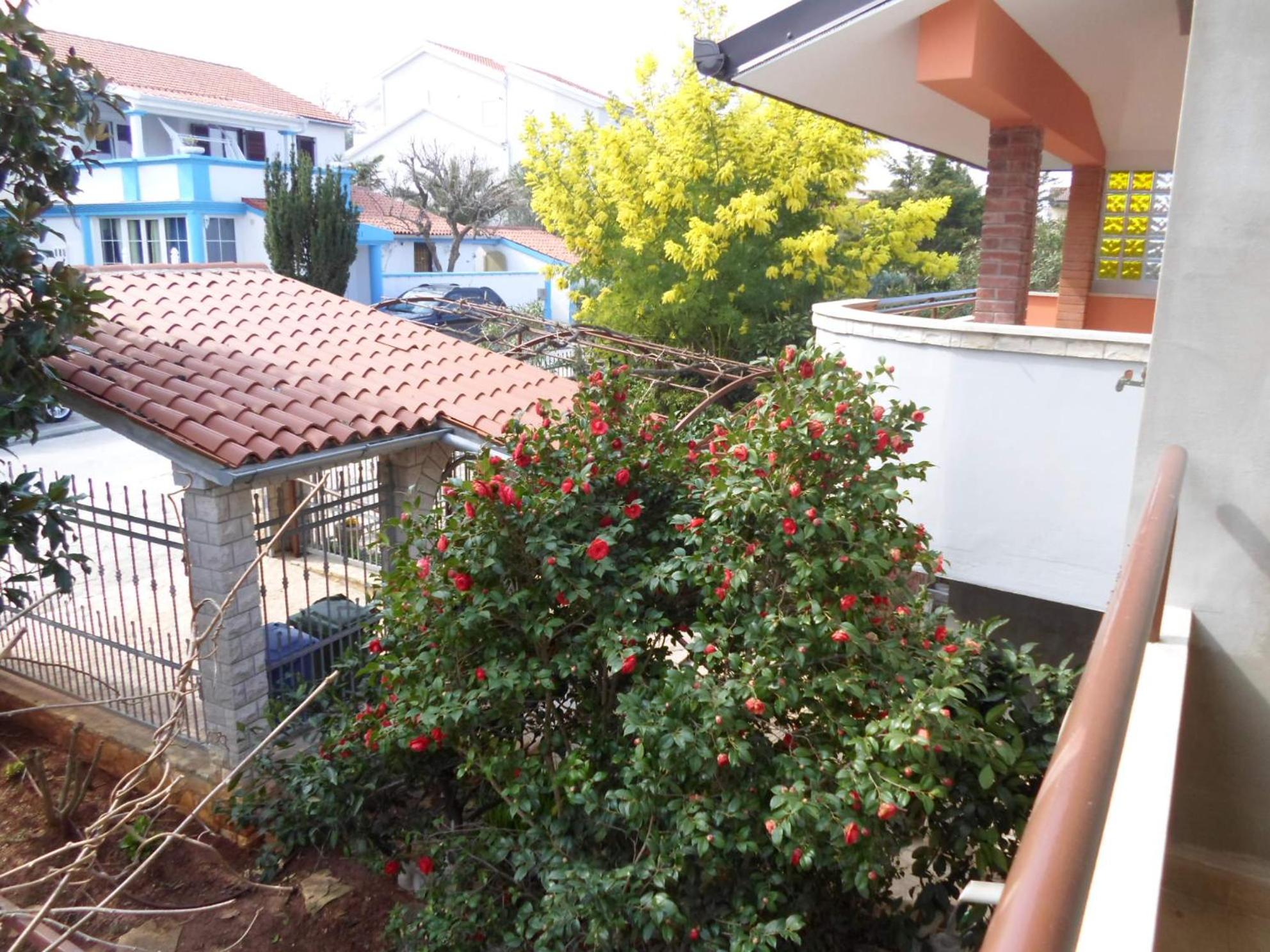 Apartments villa MaVeRo