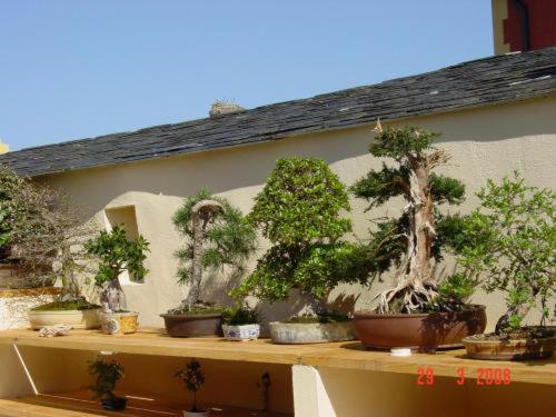 Casa do Merlo