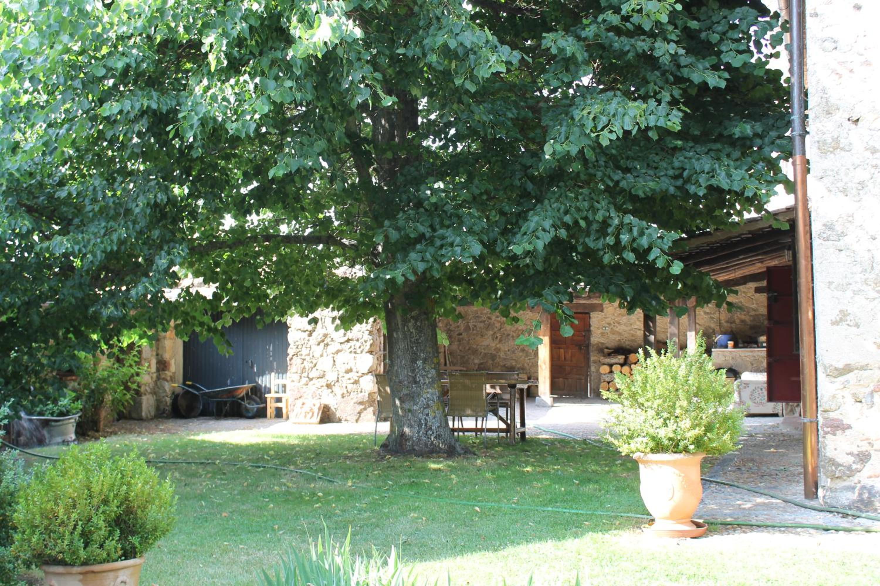 Exclusiva Casa Rustica view 4