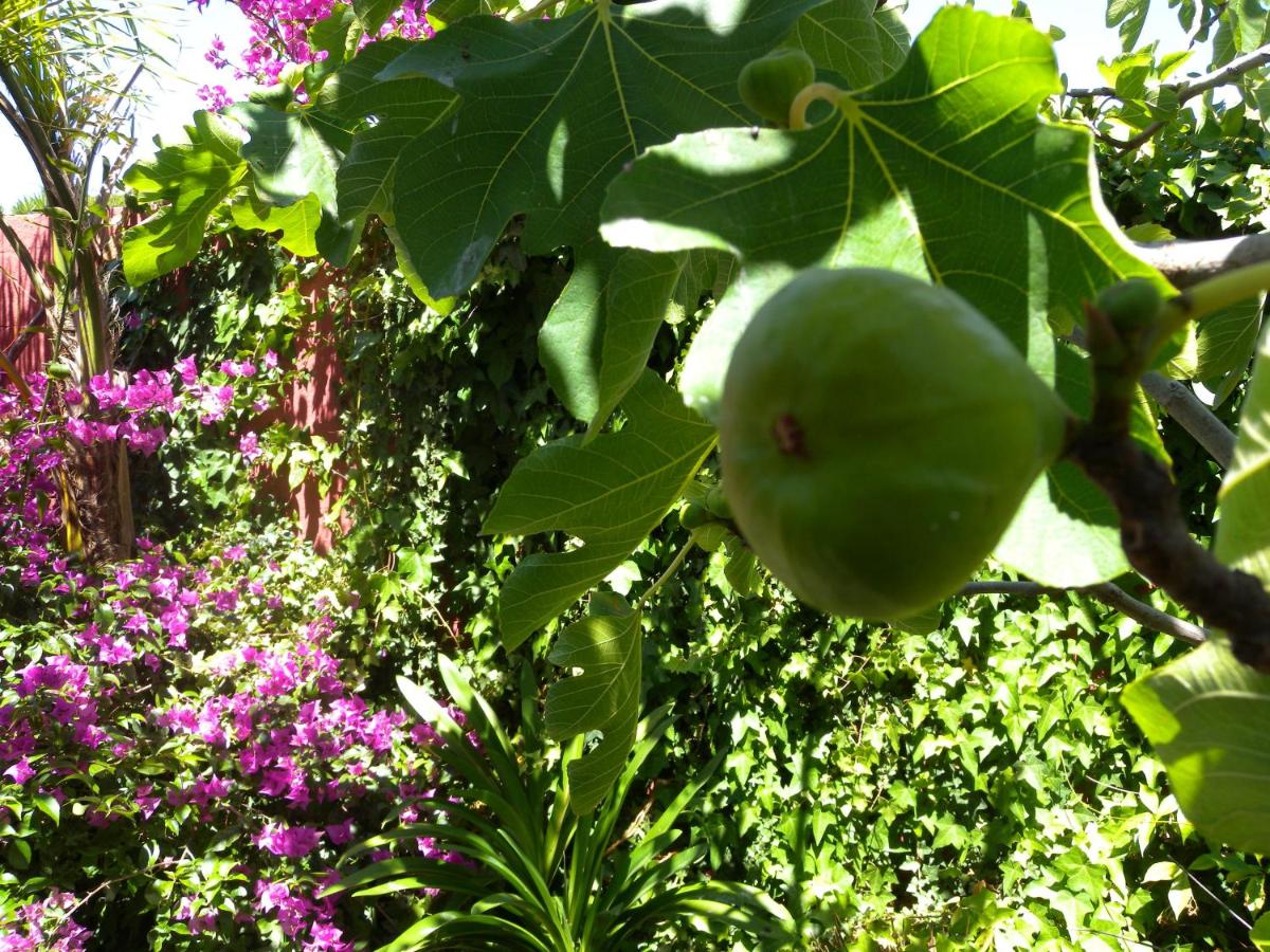 Photo 47