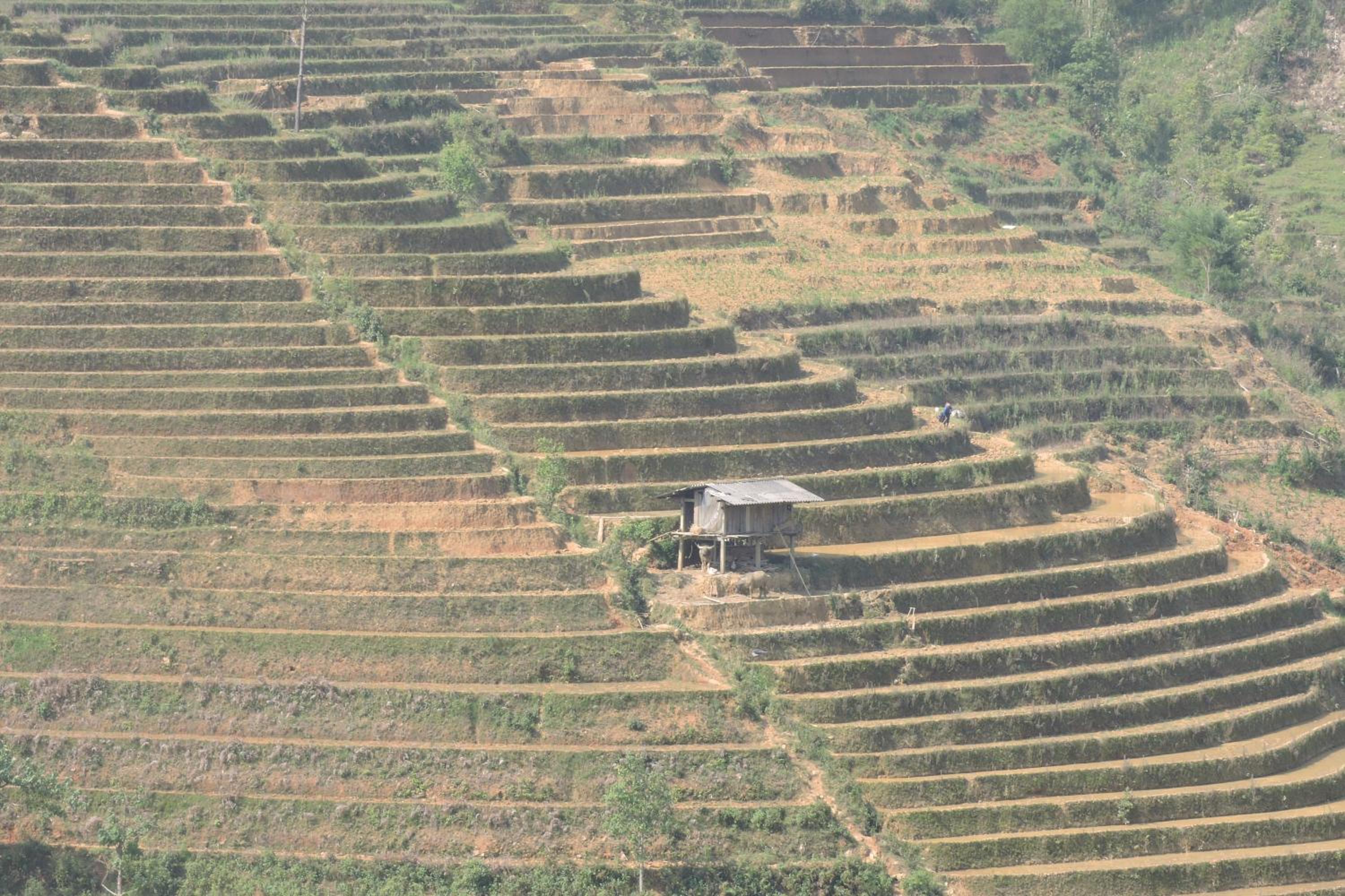 Hello Mu Cang Chai Homestay & Tours