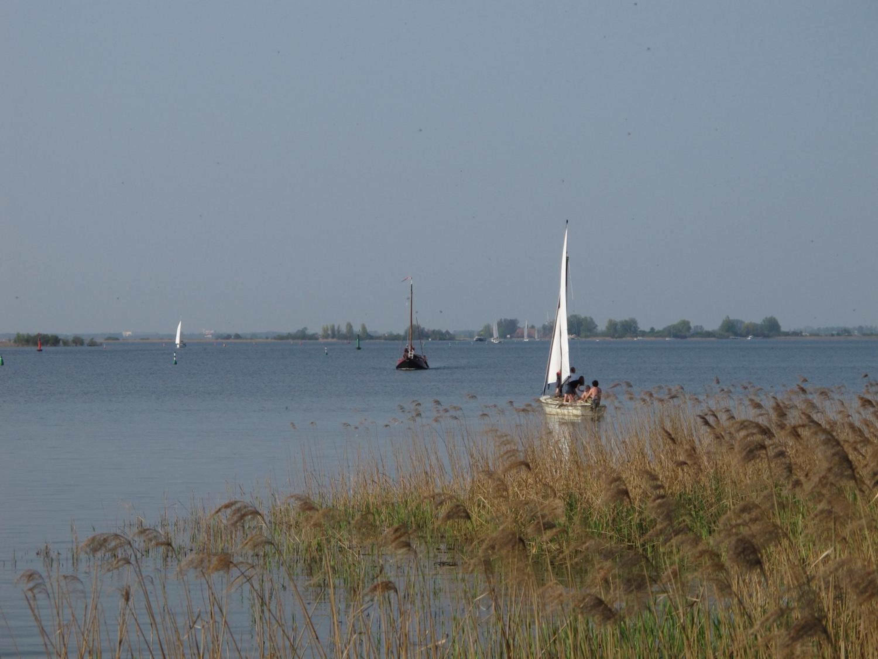 De Koevoet