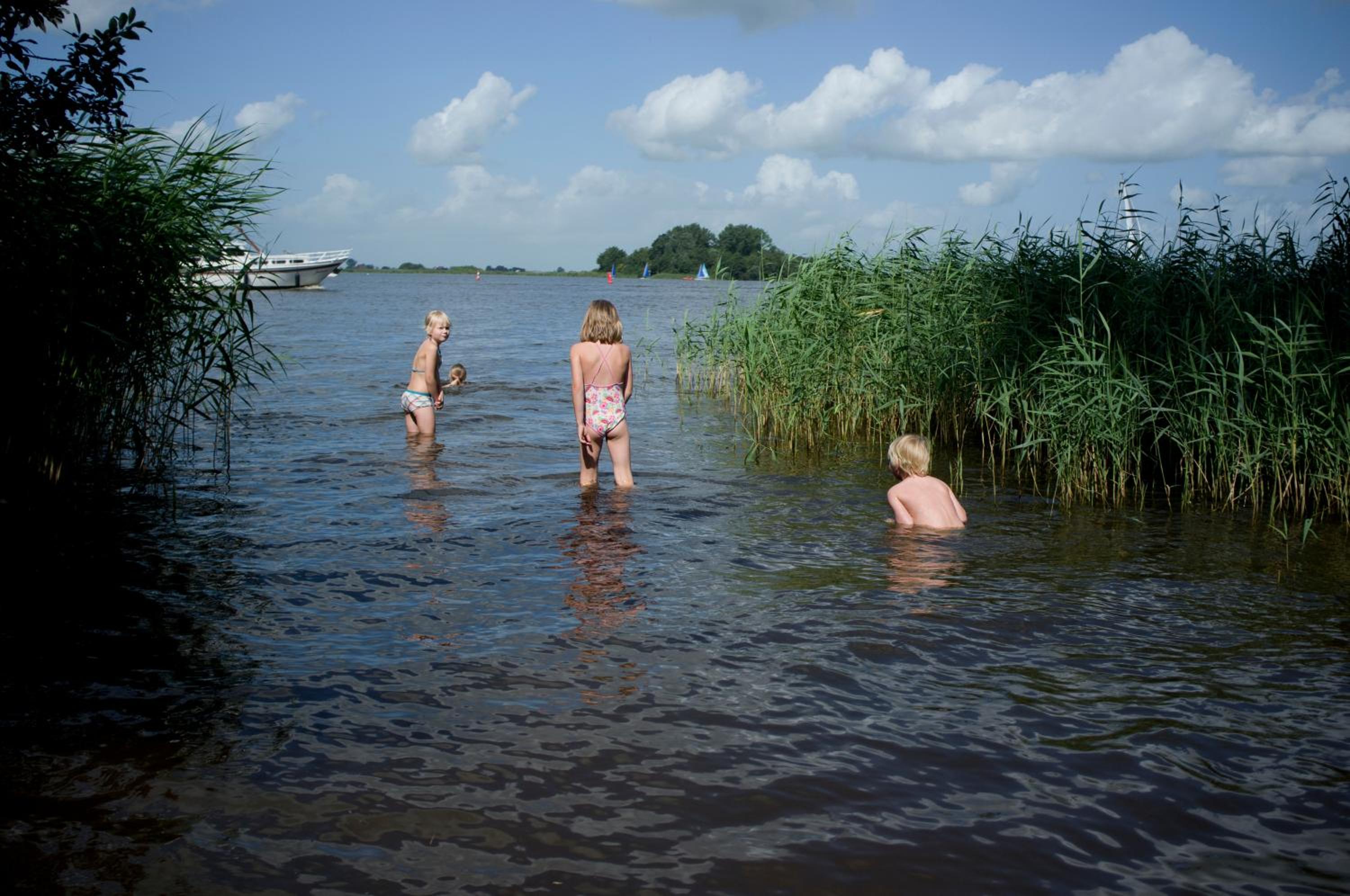 De Koevoet