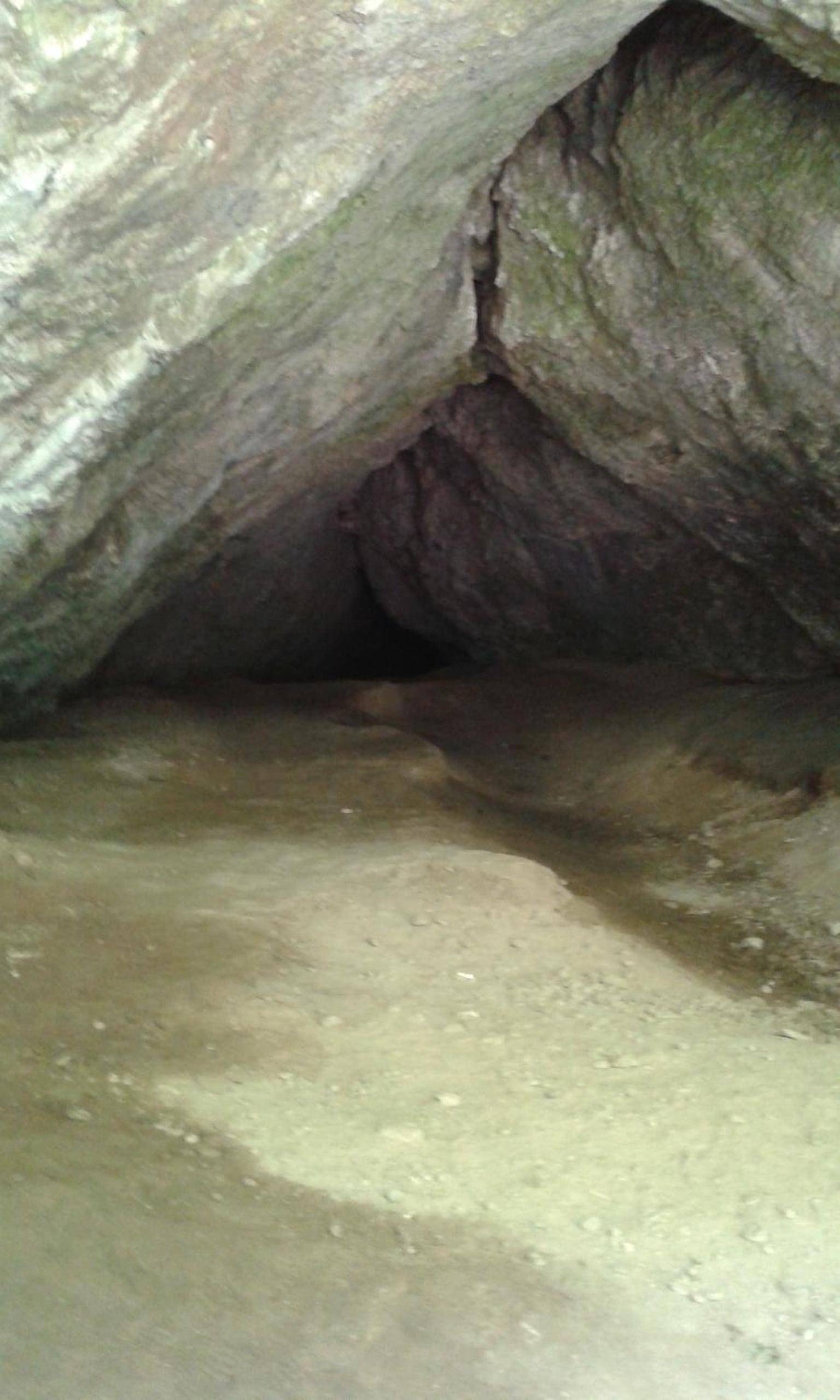 Photo 38