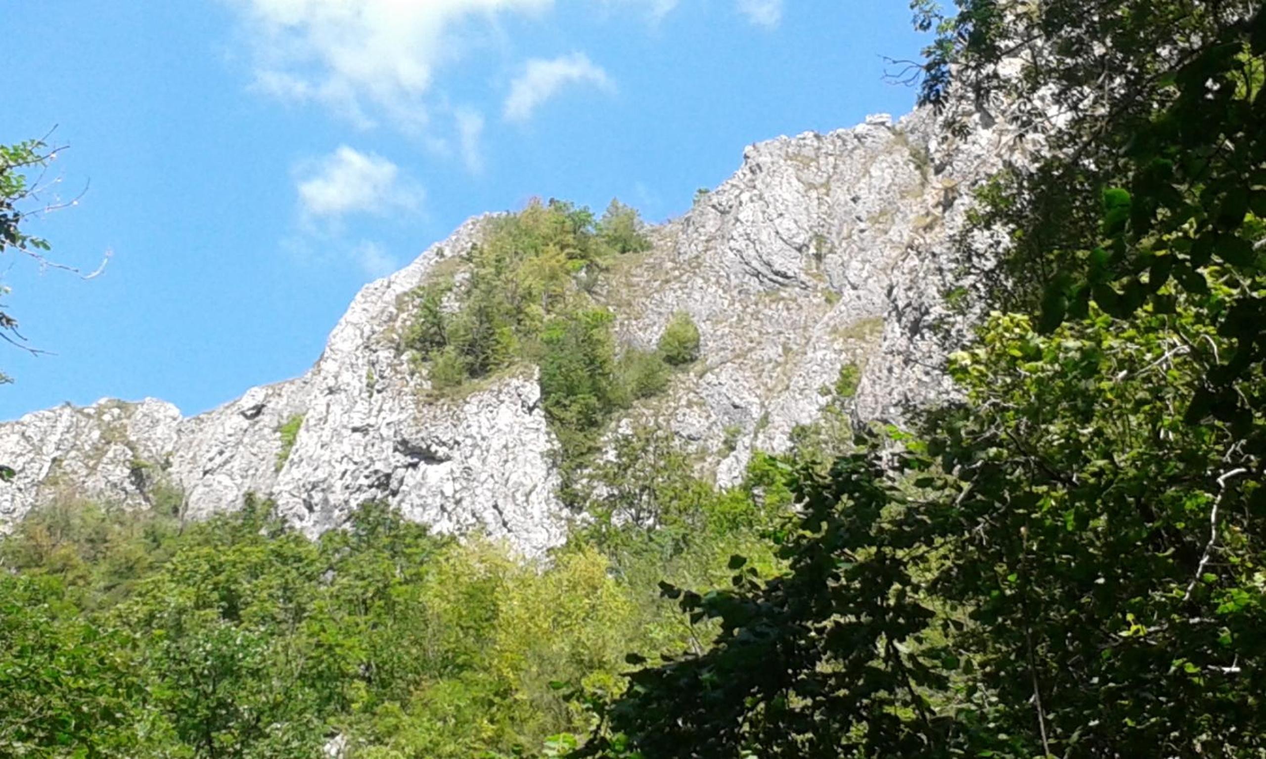 Photo 43