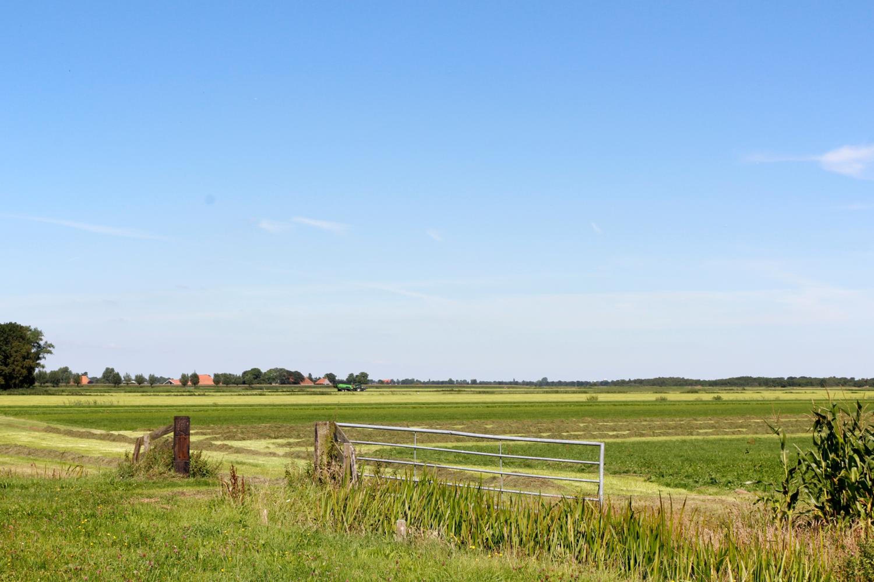 De Koevoet