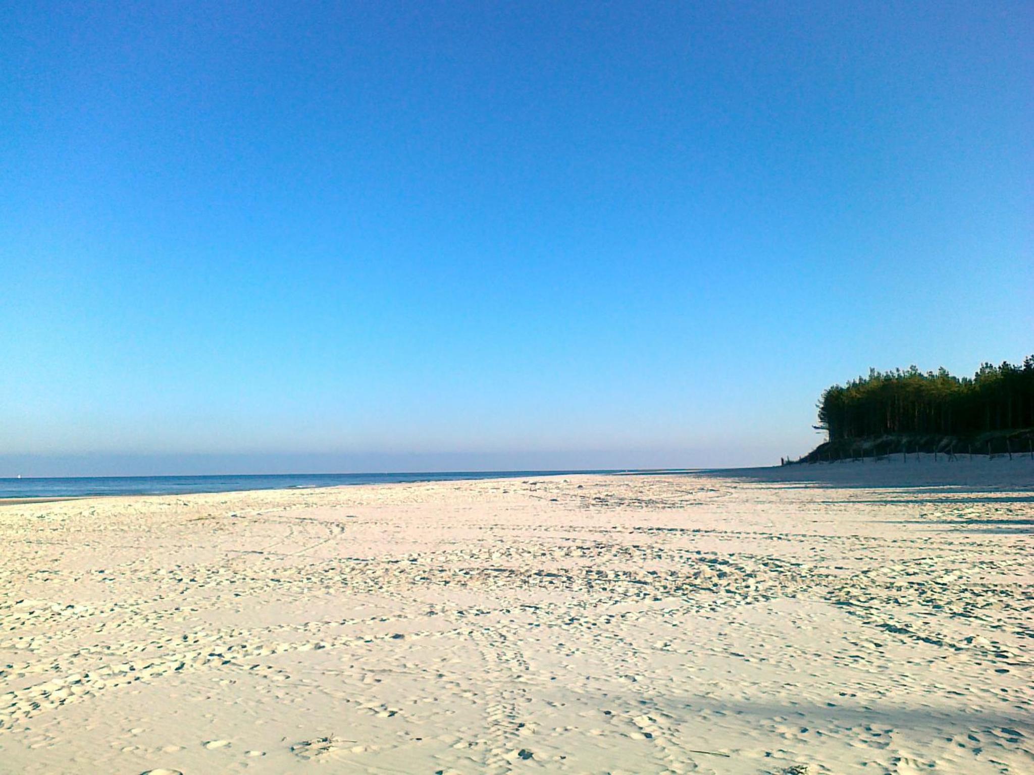 Milagro Baltico