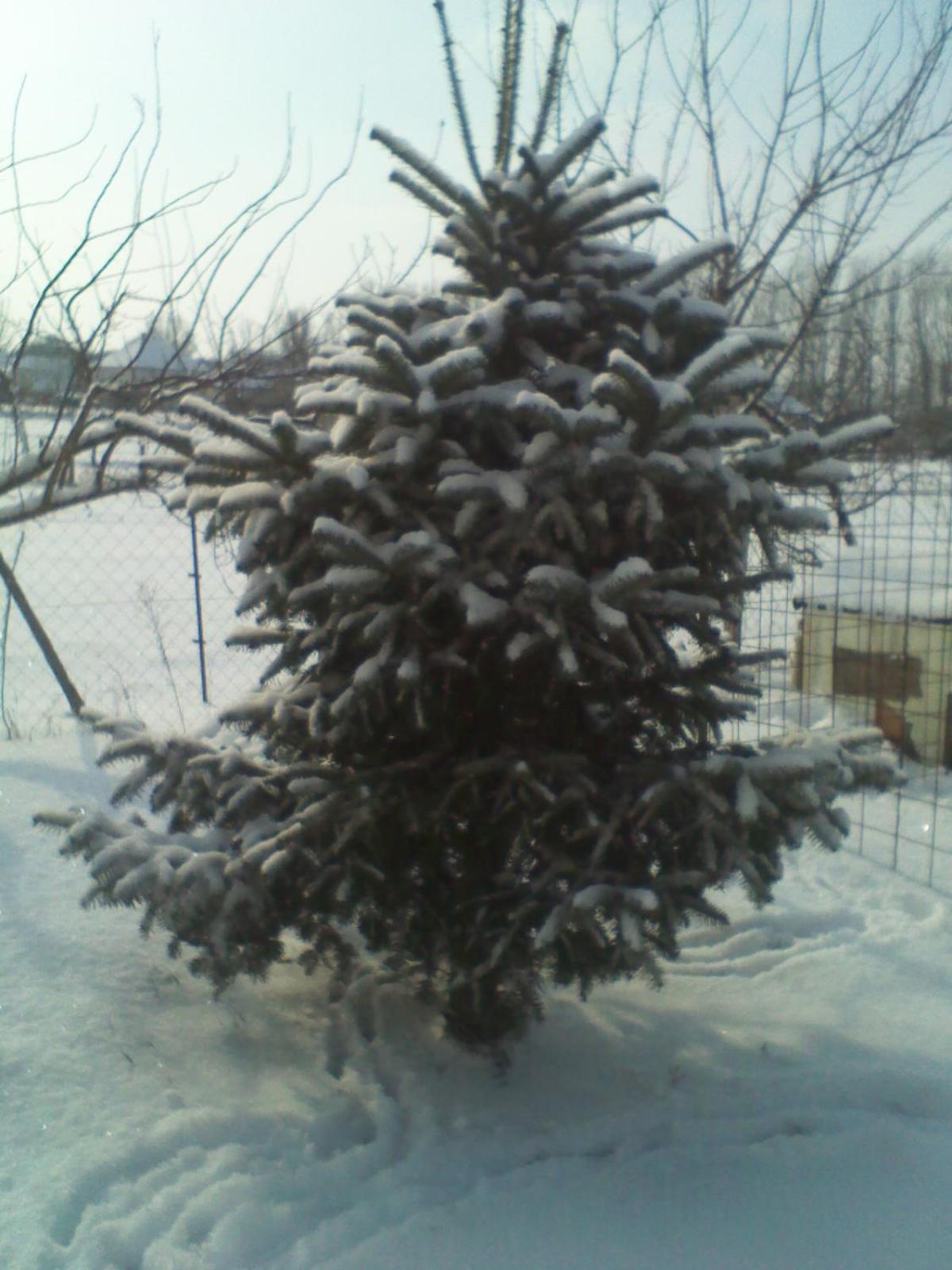 Photo 12
