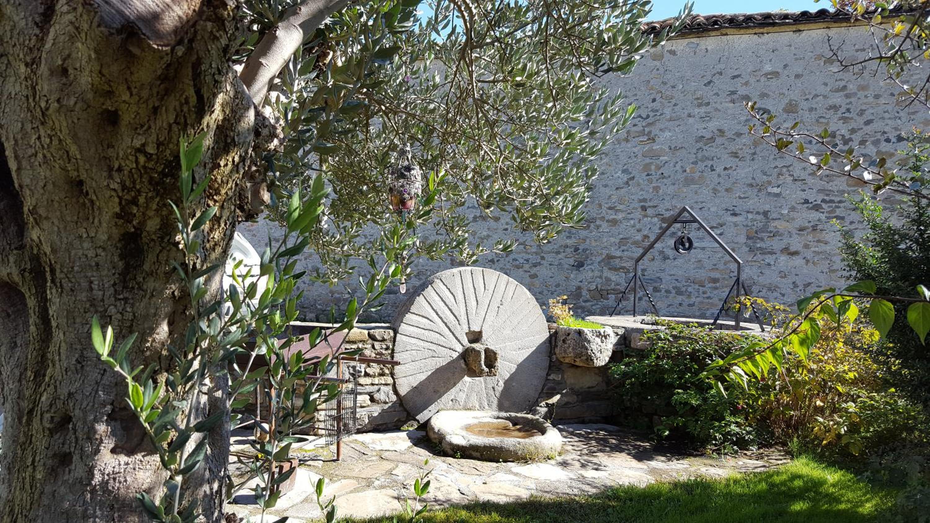Photo 8