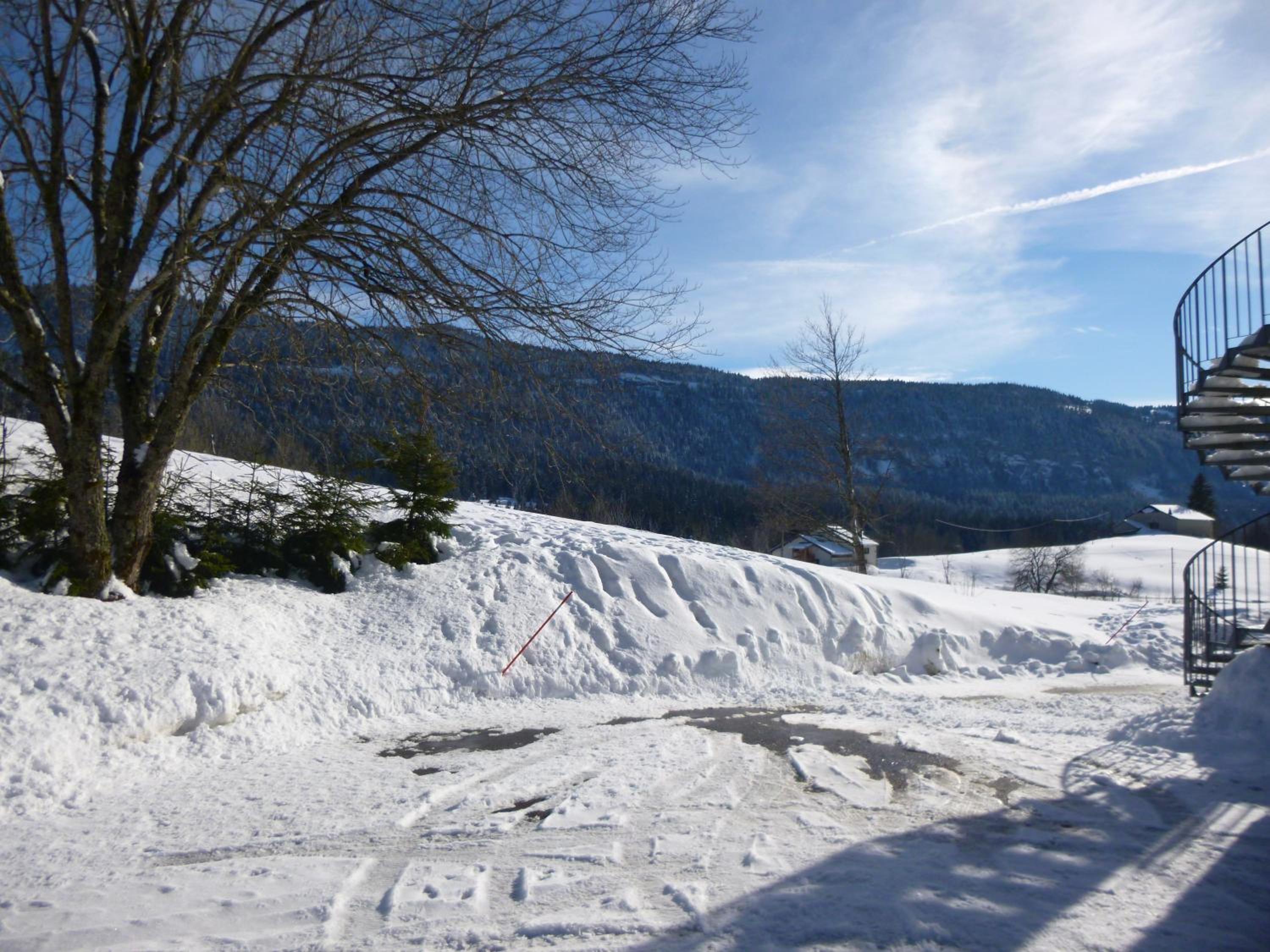 Photo 46