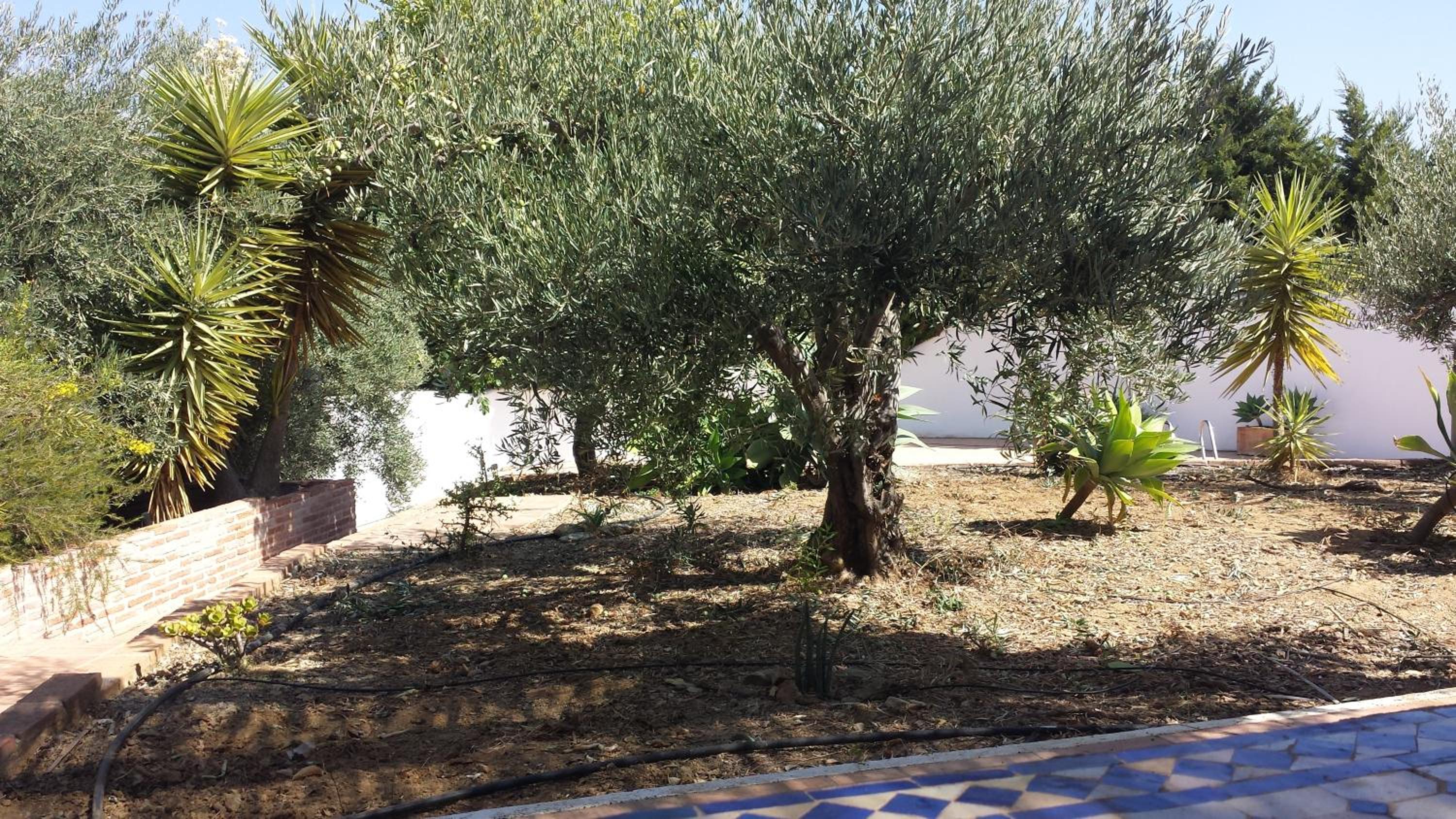 Casa Laura