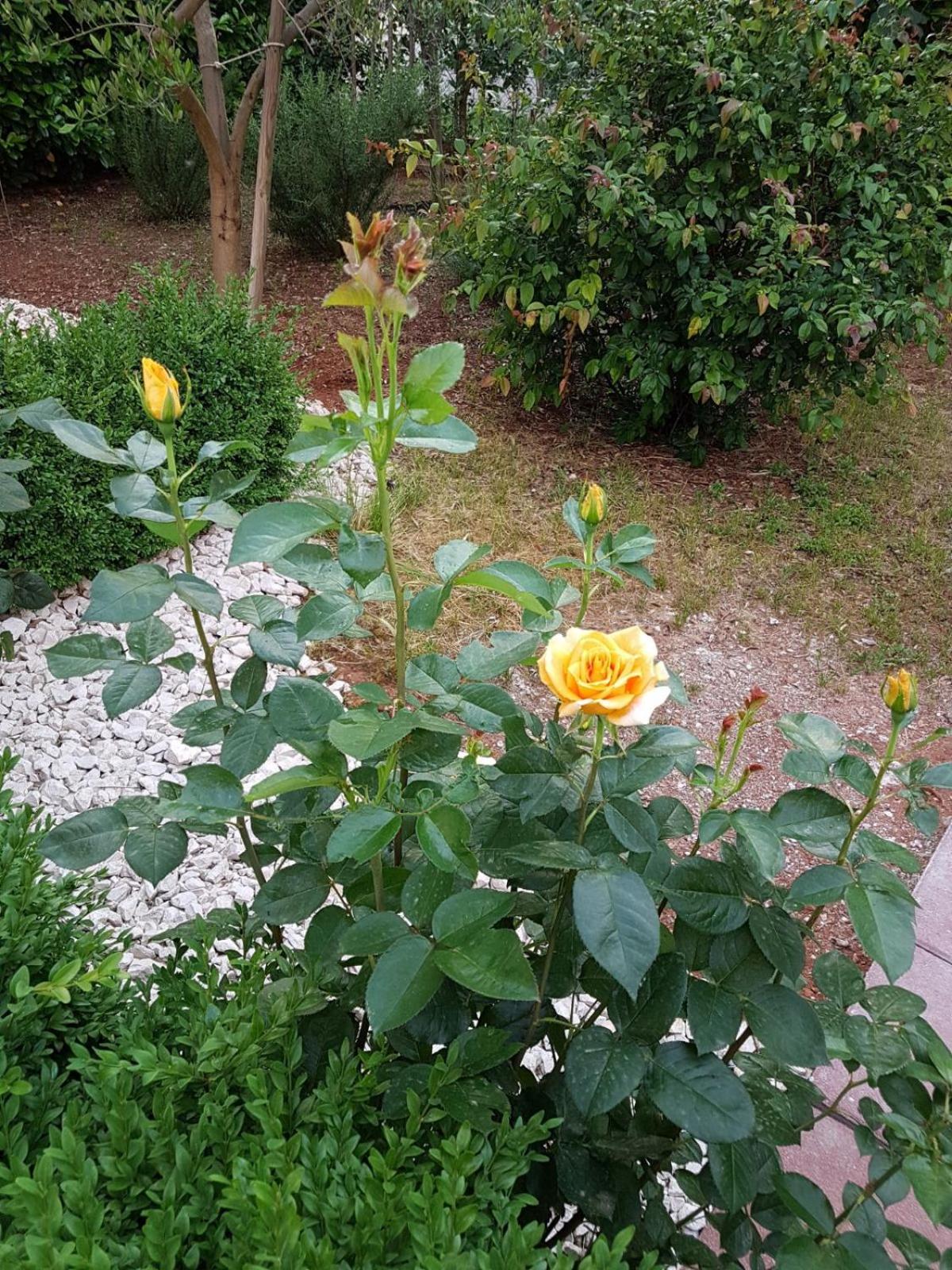Photo 20