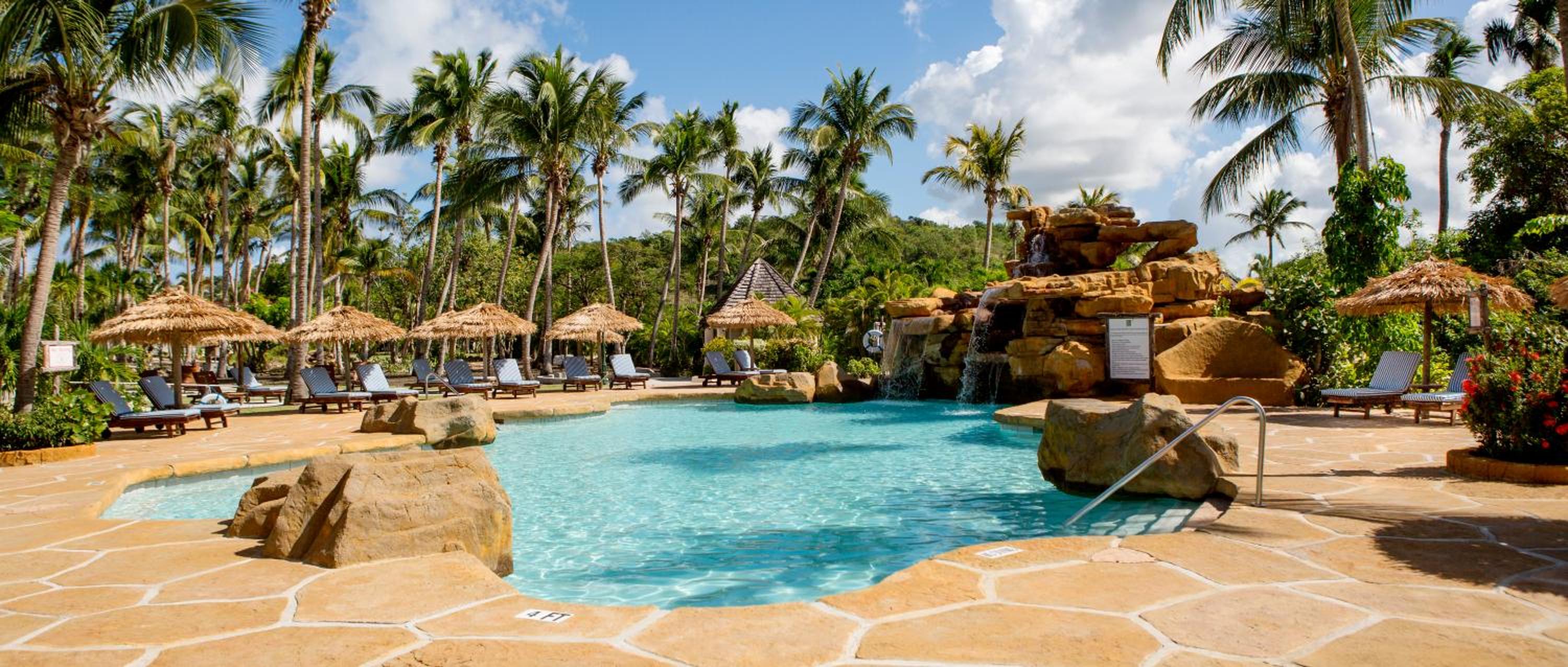 Pool & Wellness
