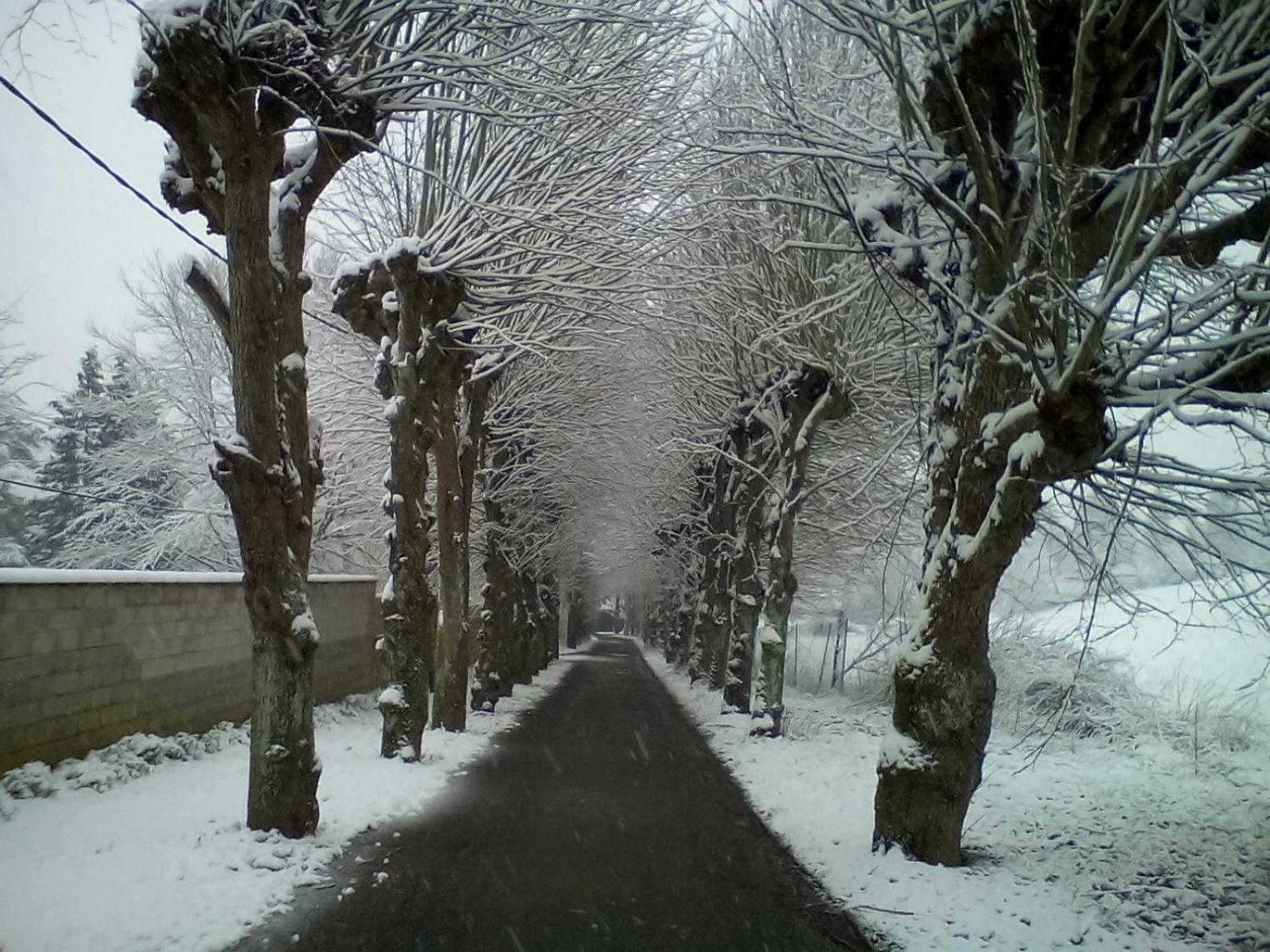 Le Relais De Dalibray, photo 43