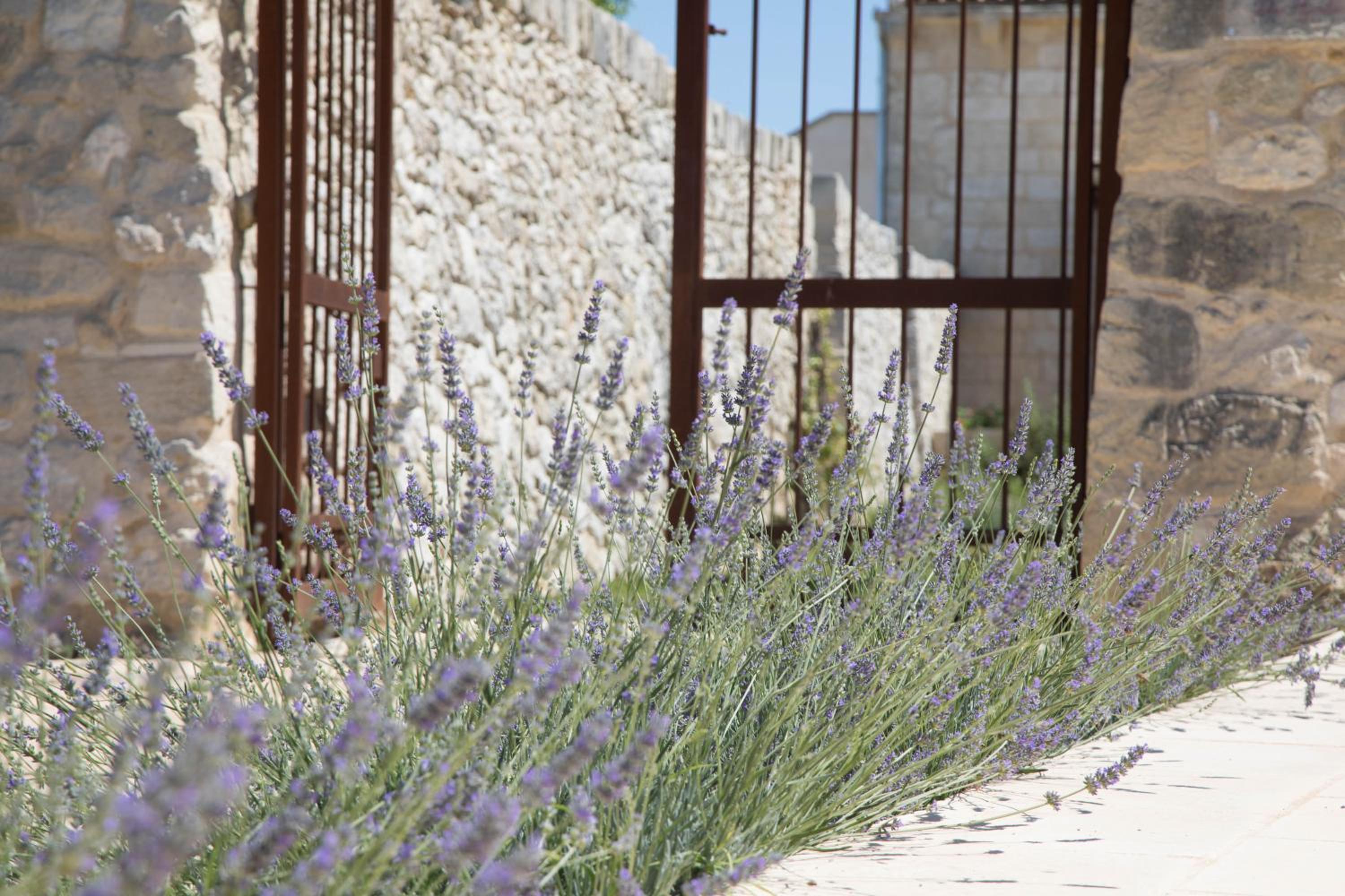 Don Agostino Relais Masseria