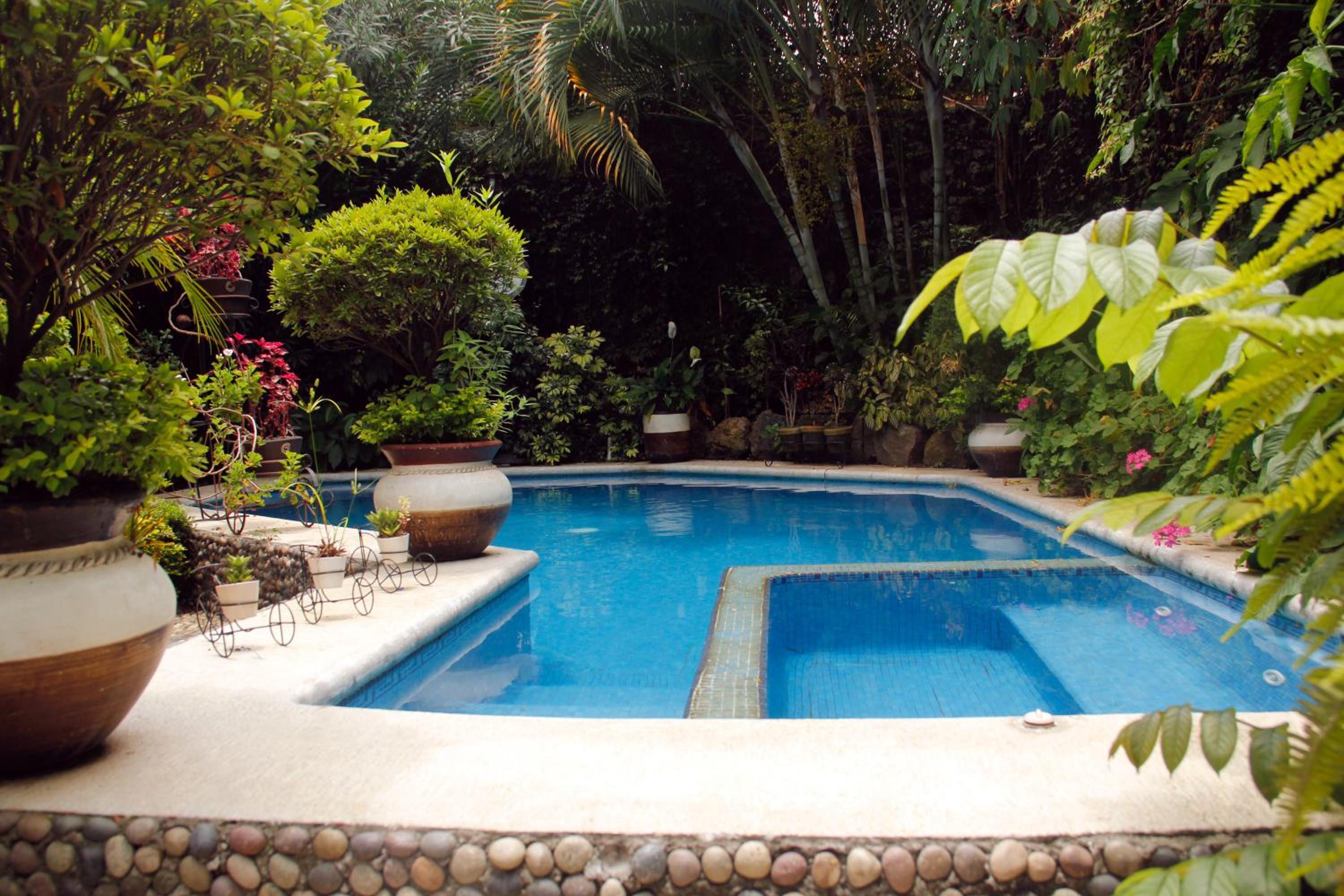 El Jardín del Edén B&B Boutique view 3