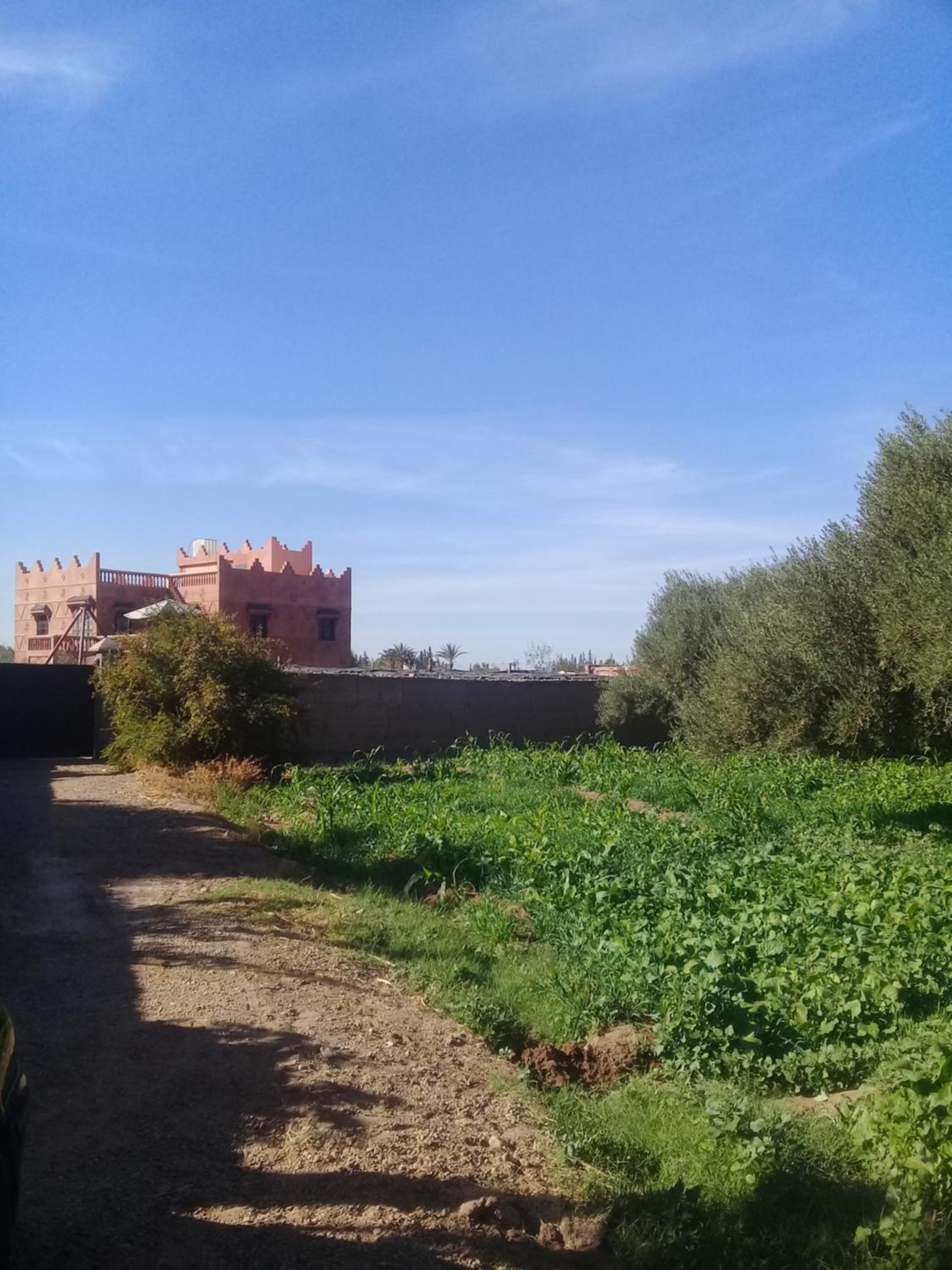 villa darga rouge