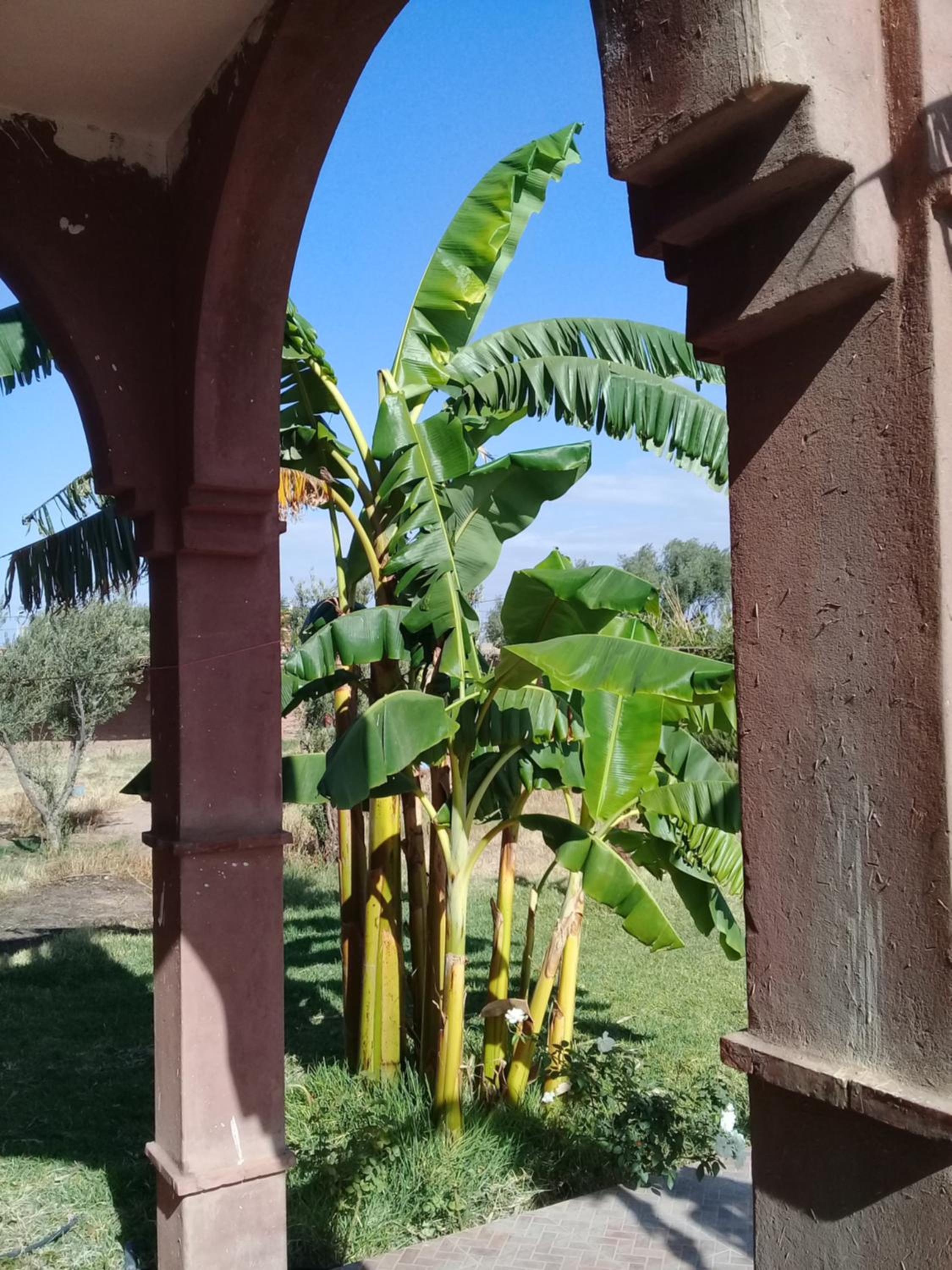 villa darga rouge