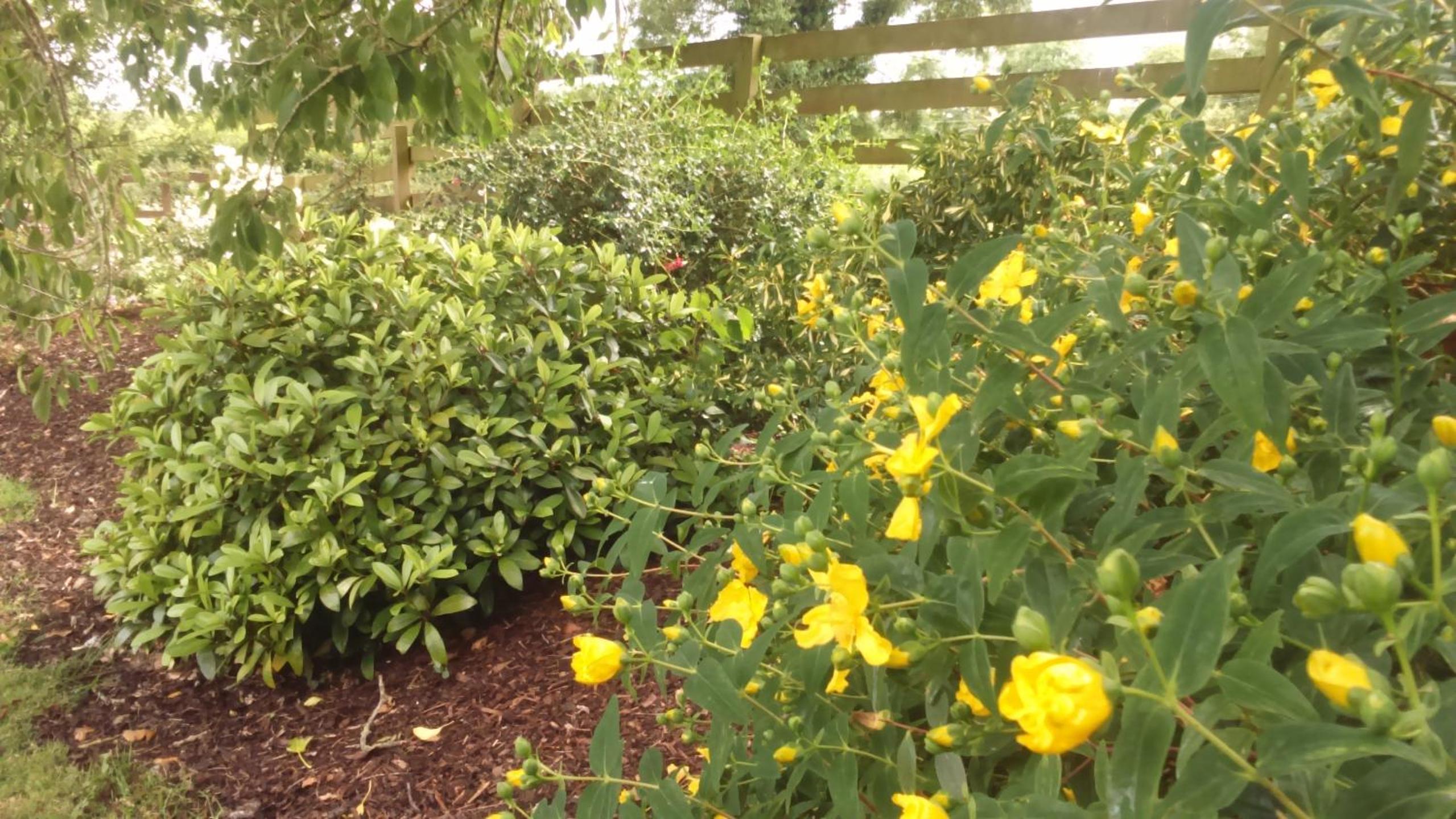 Photo 14