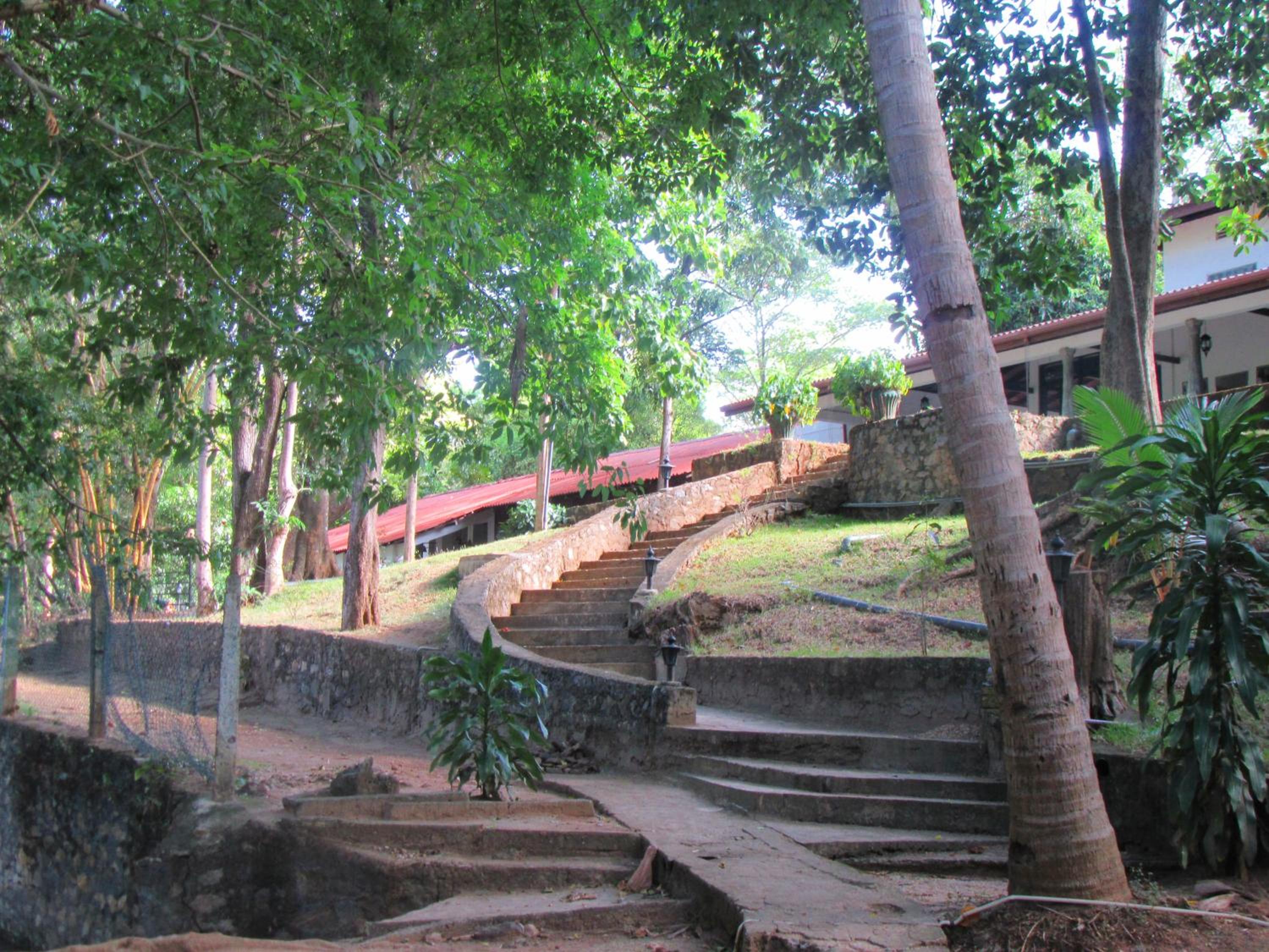 Dambulu Oya Family Park