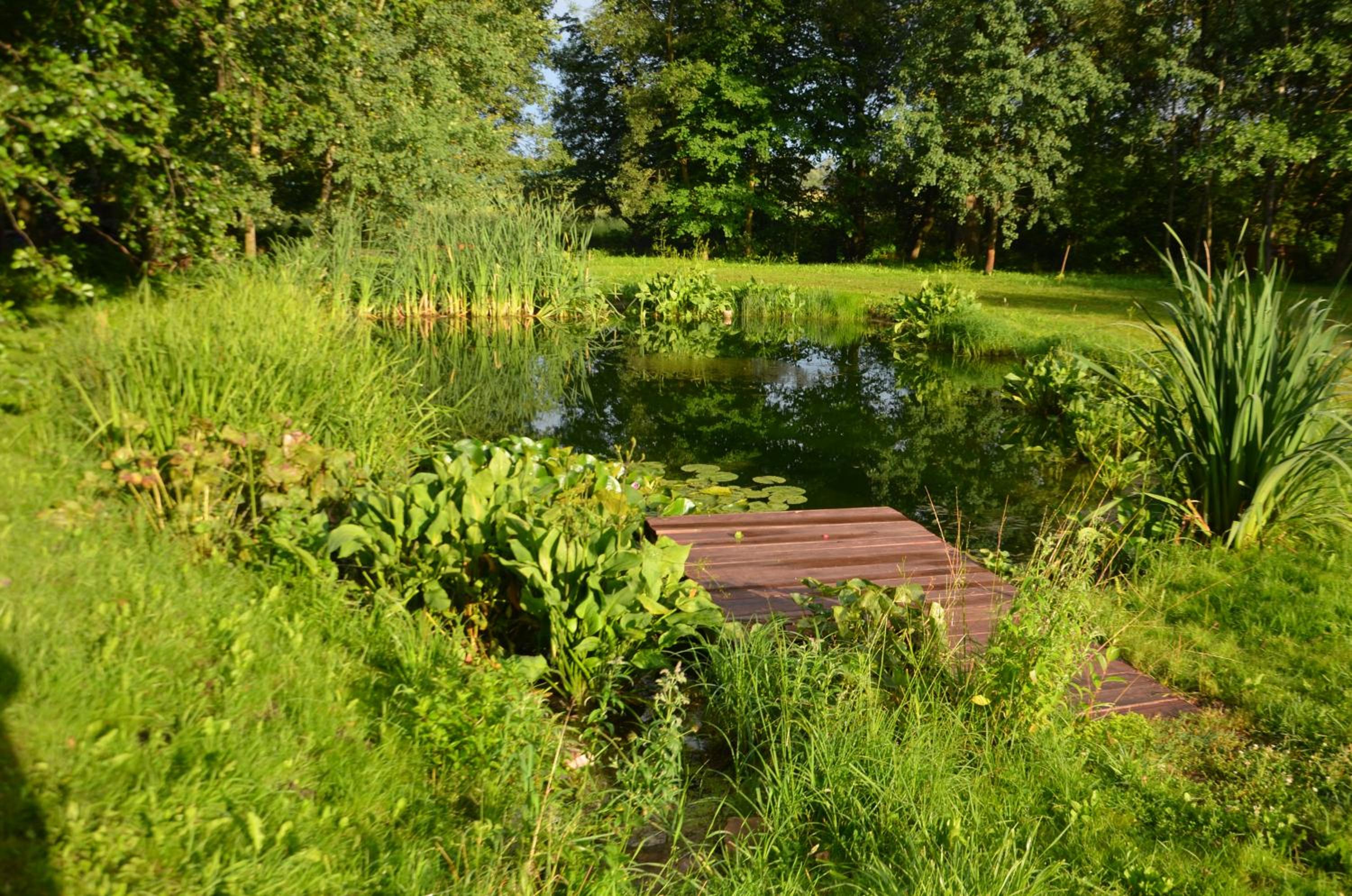 Photo 15
