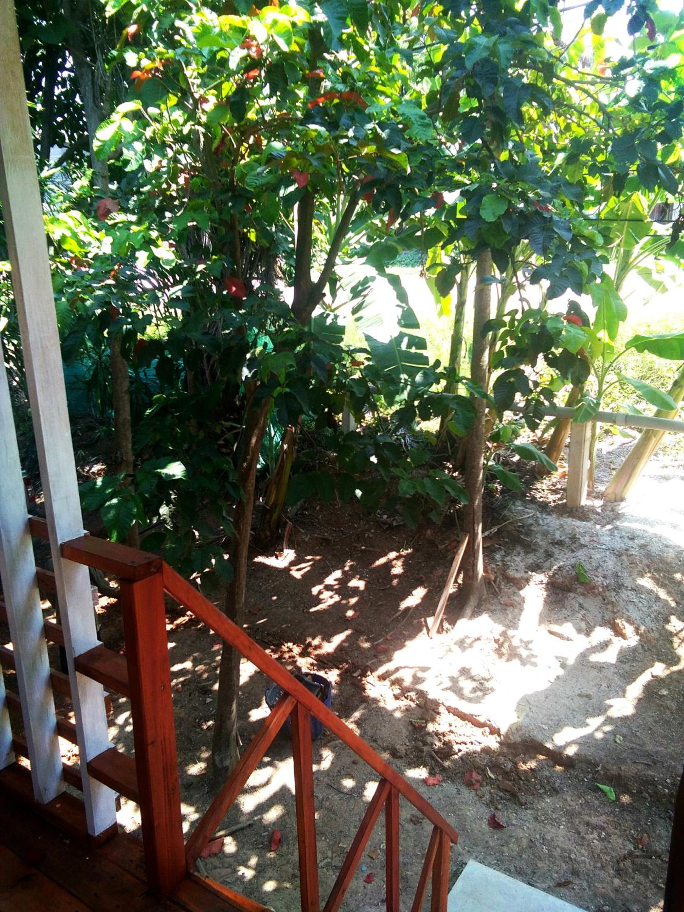 Hutyee Boat Bungalow view 5