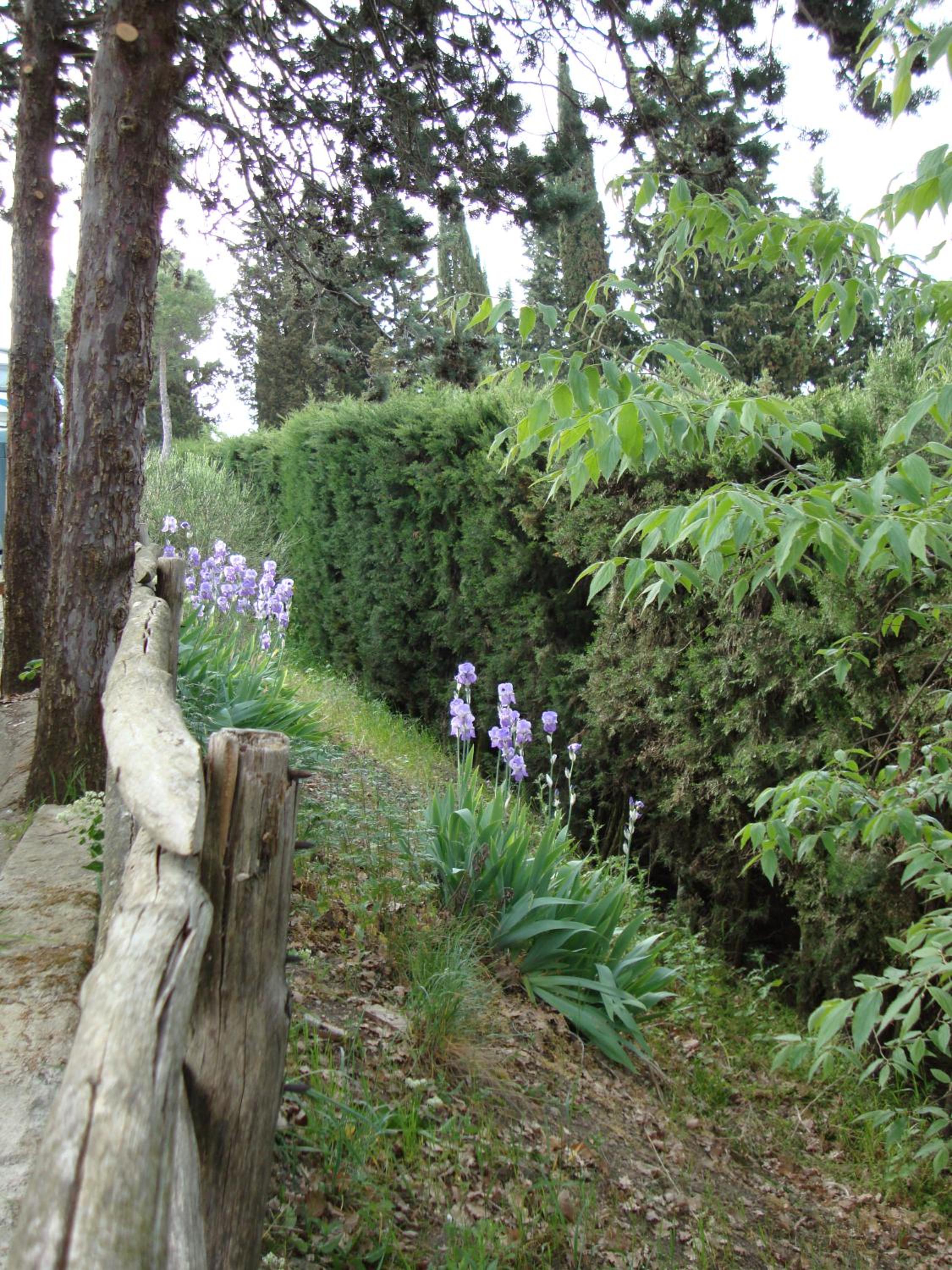 Camping Village Panoramico Fiesole
