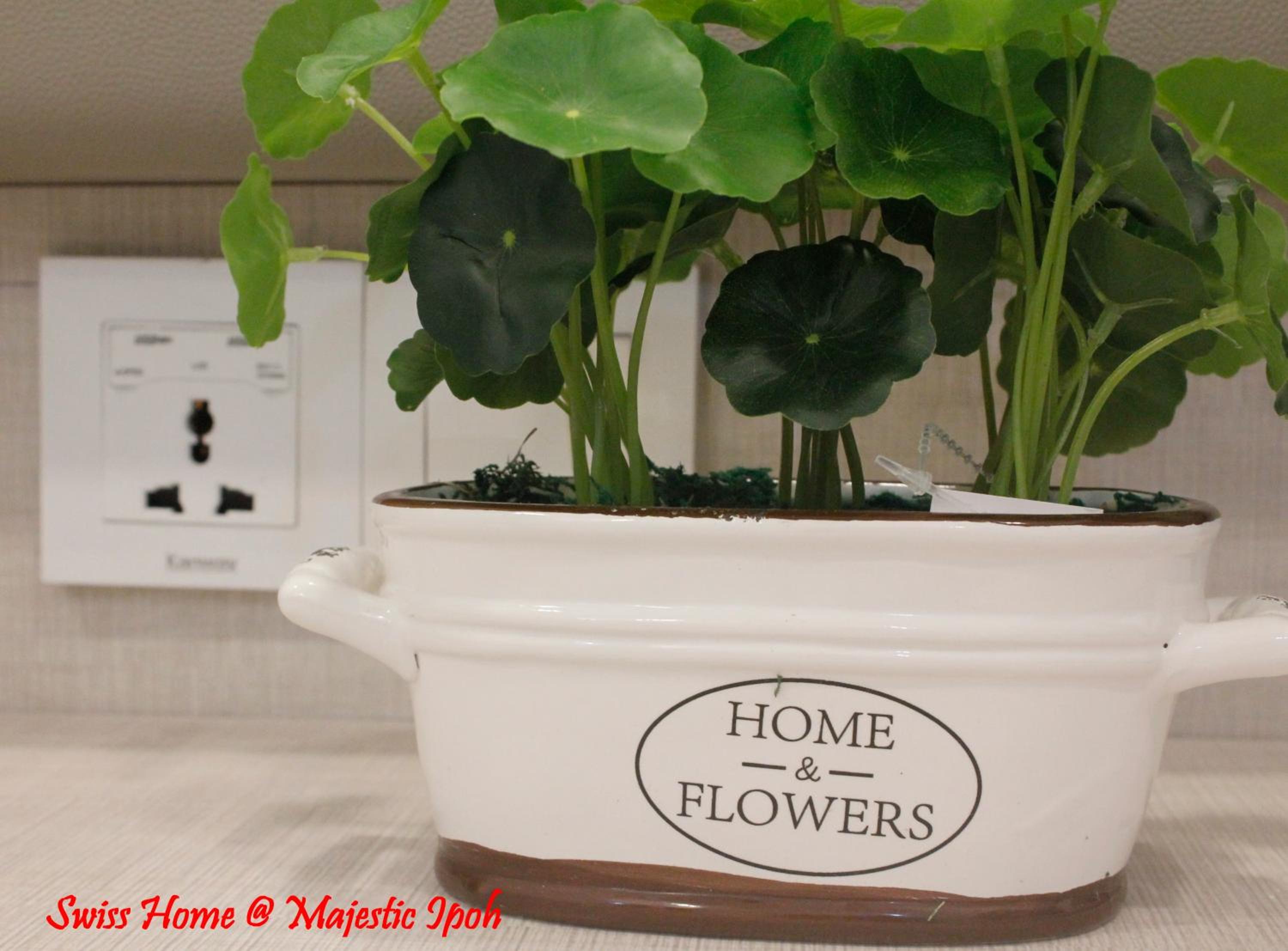 H2H - Swiss Home - Majestic Ipoh photo 7