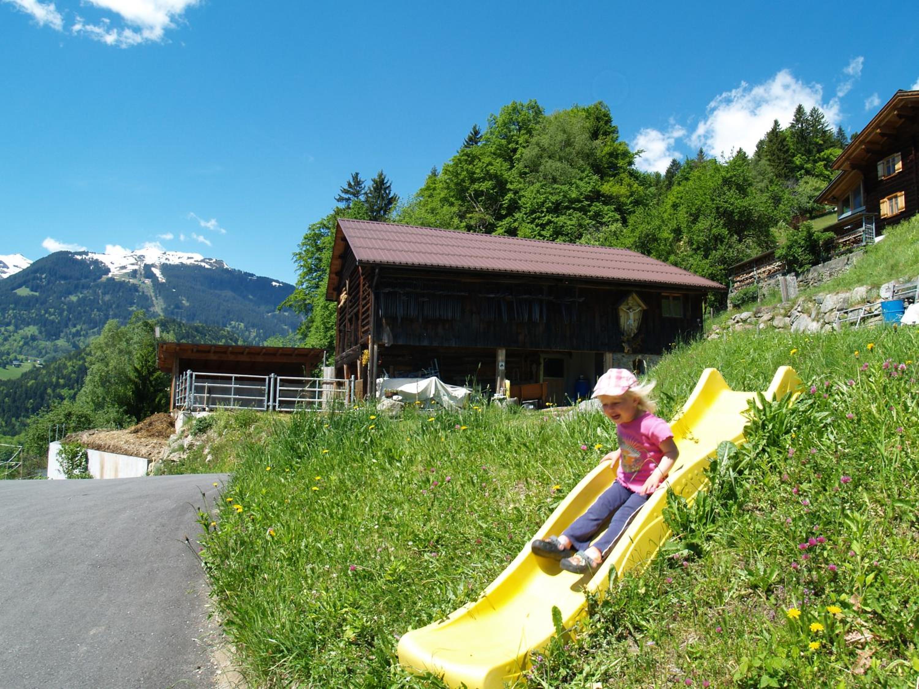 Haus grüner Wald
