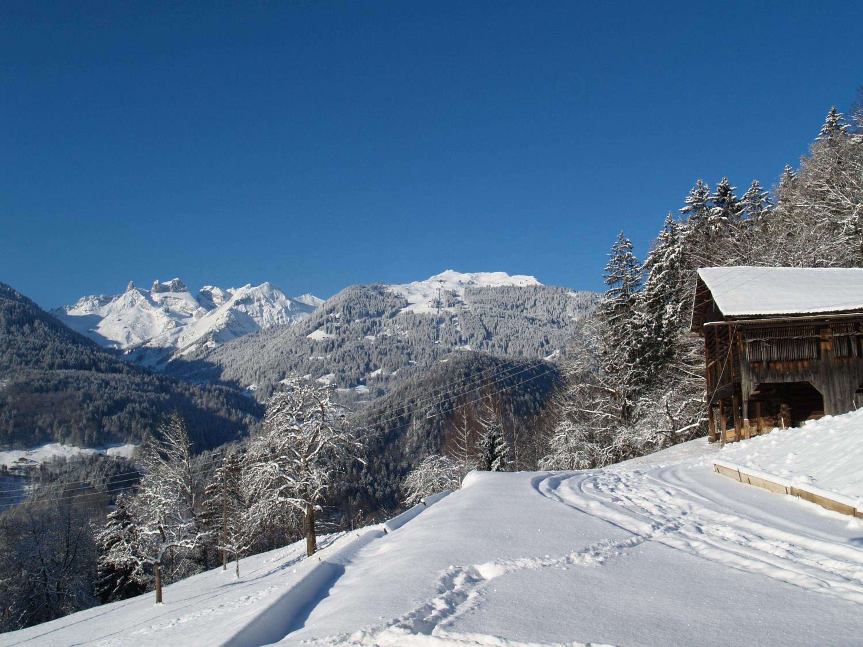 Haus grüner Wald