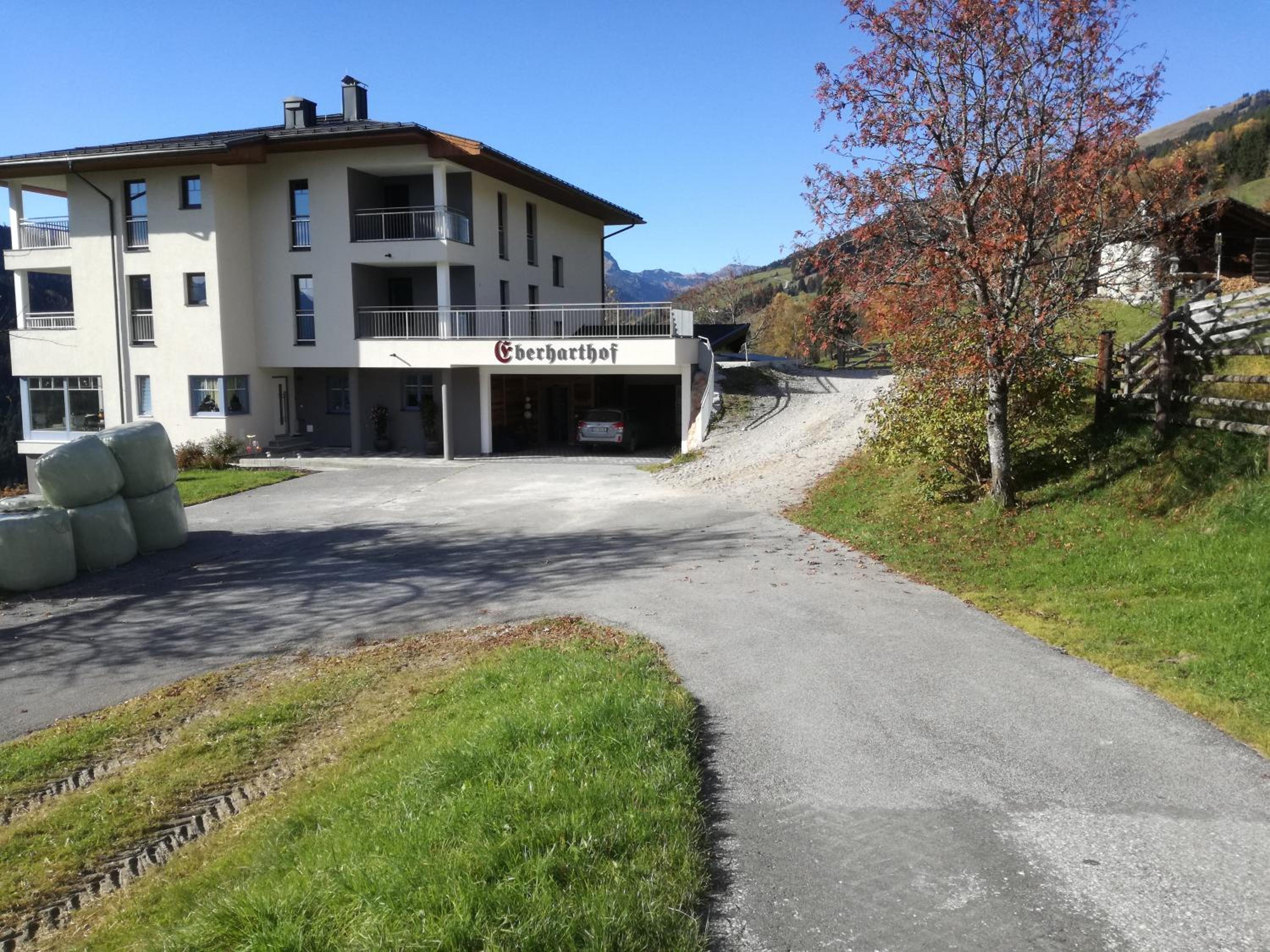 Photo 11