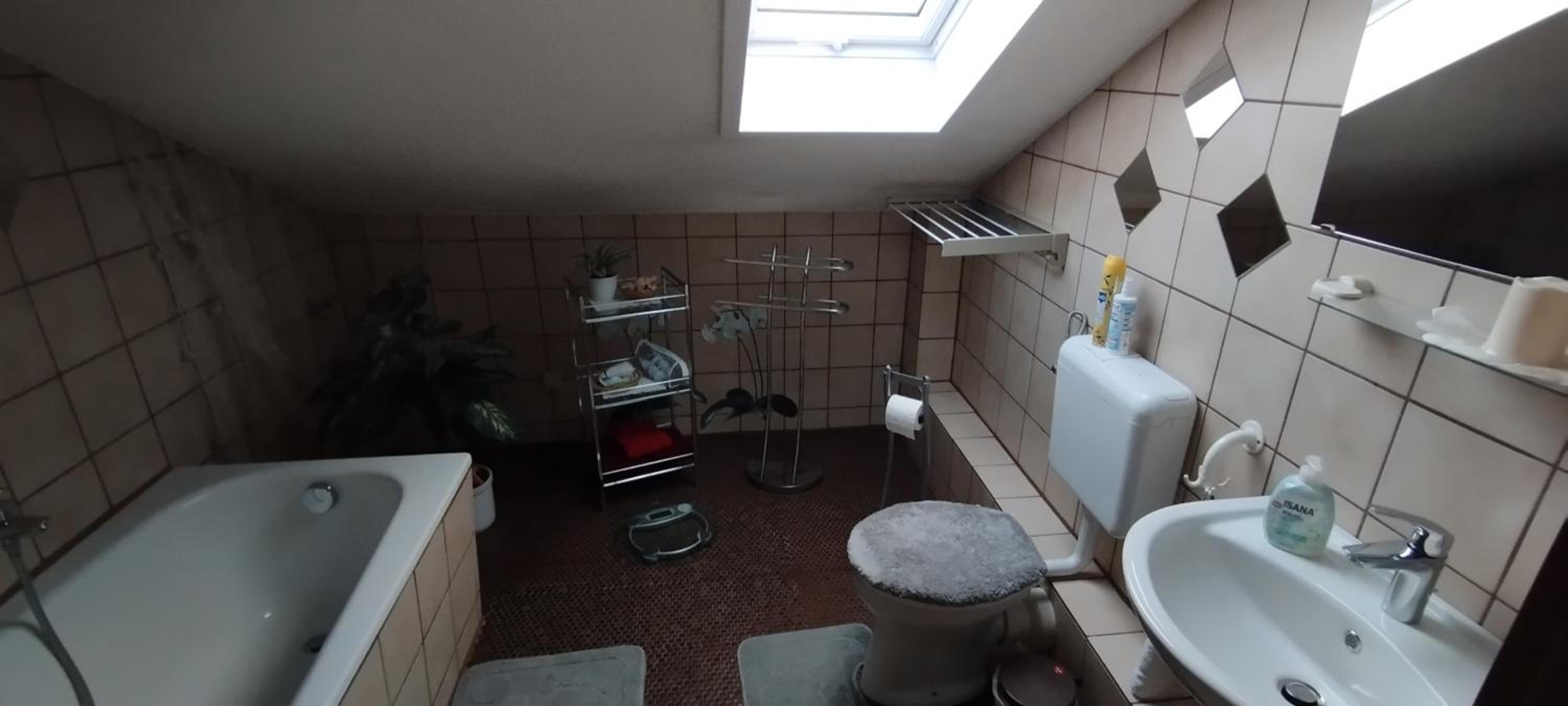 Steffi