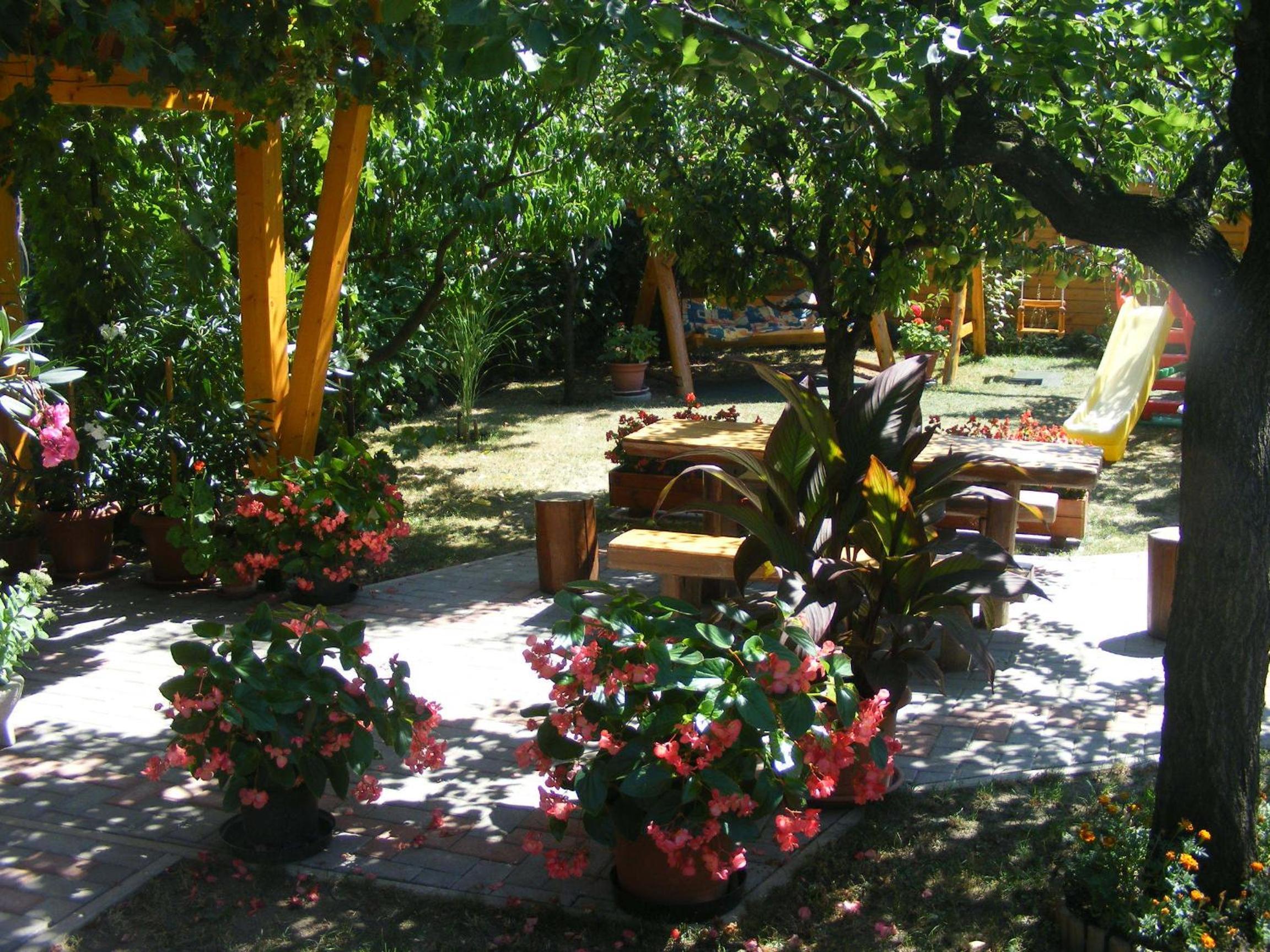 Photo 19