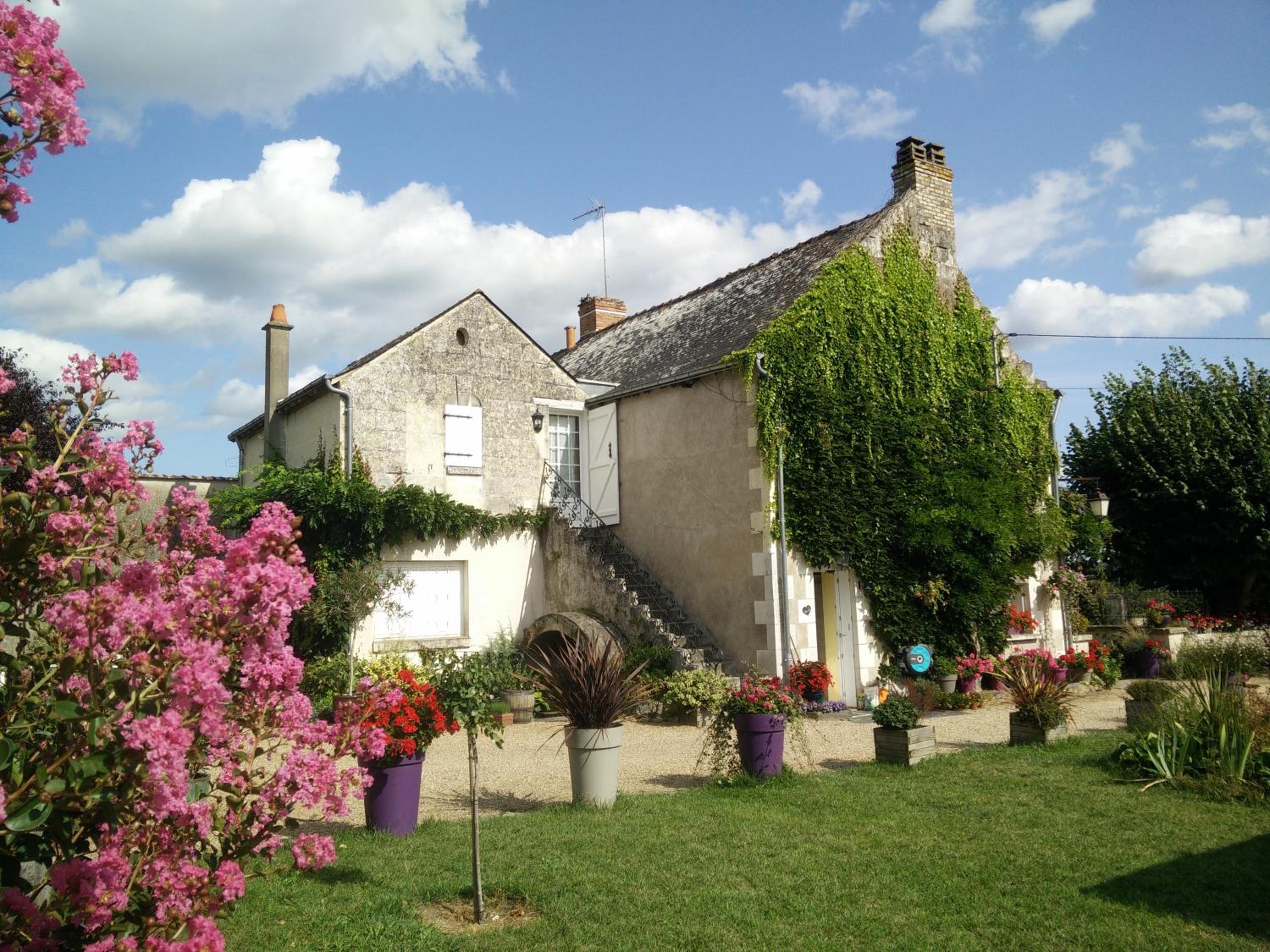 Photo 16