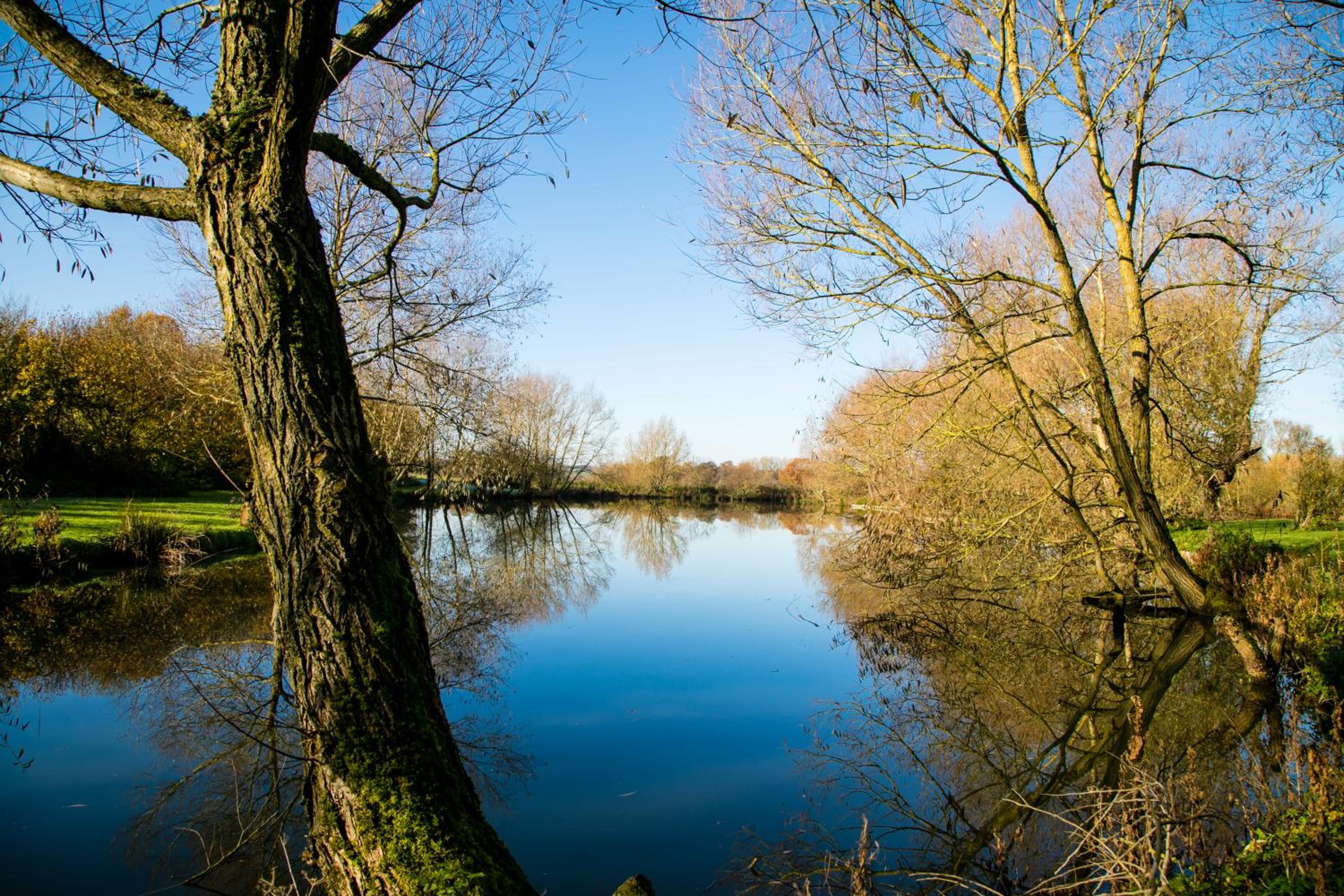 Fairwood Lakes Holiday Park
