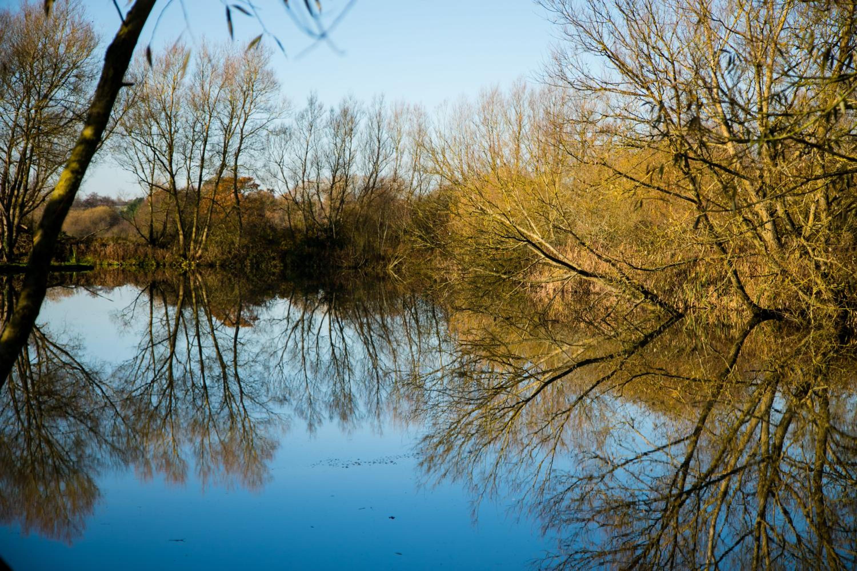 Fairwood Lakes Holiday Park