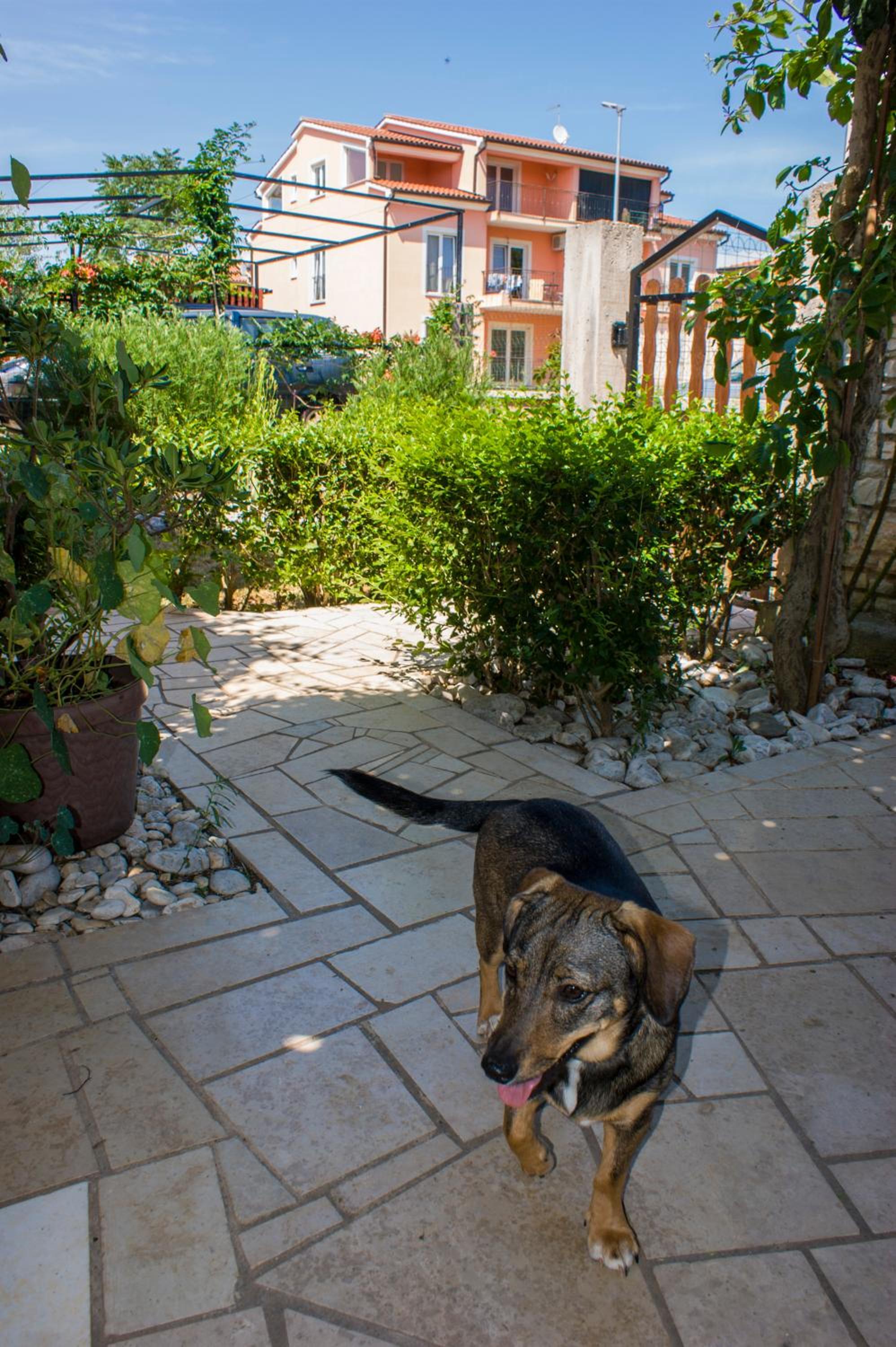 Photo 26