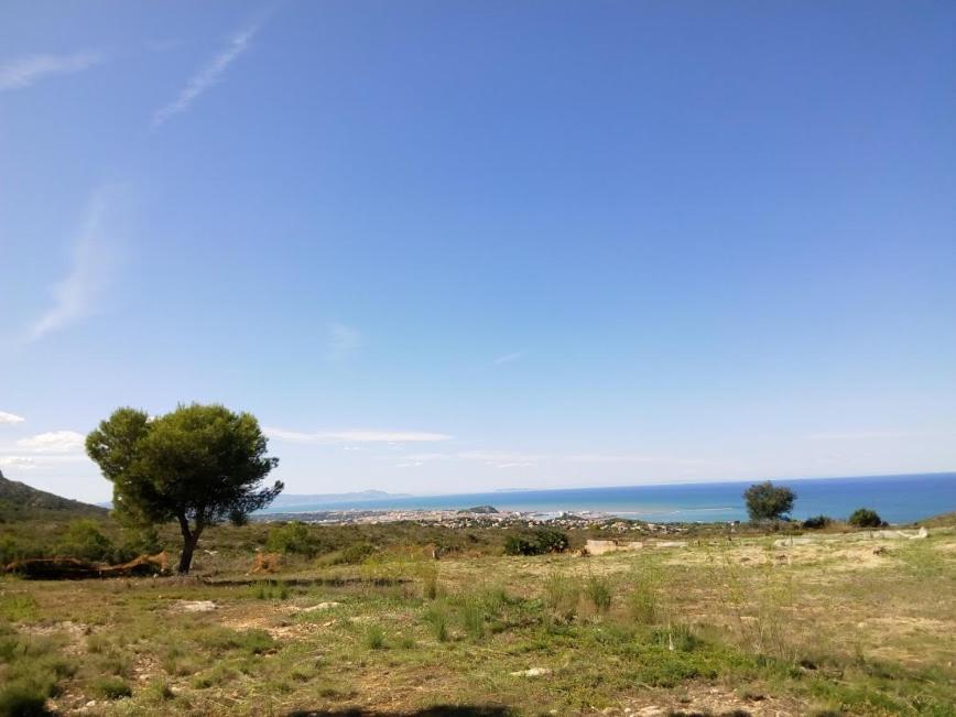 La sirenita