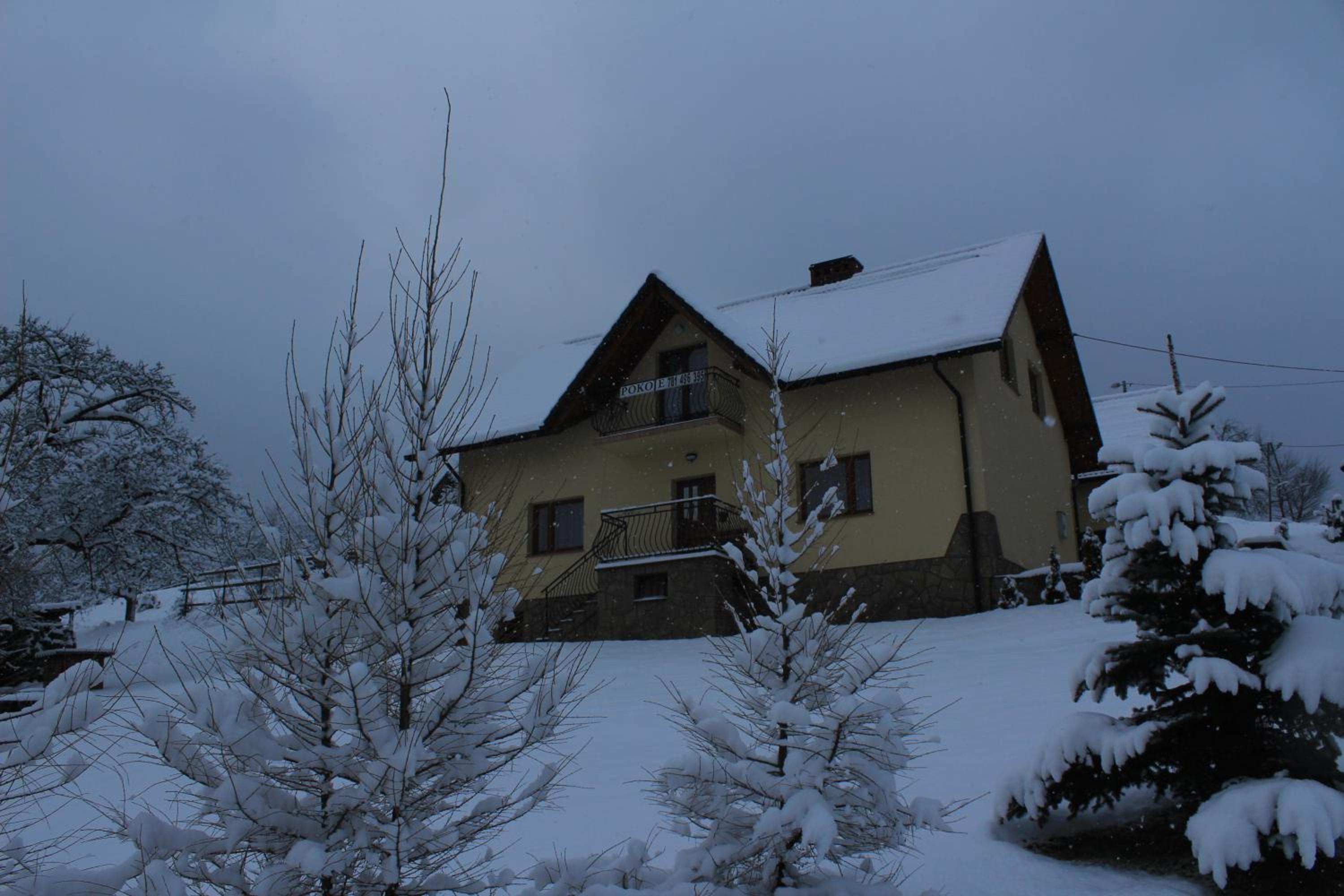Photo 31